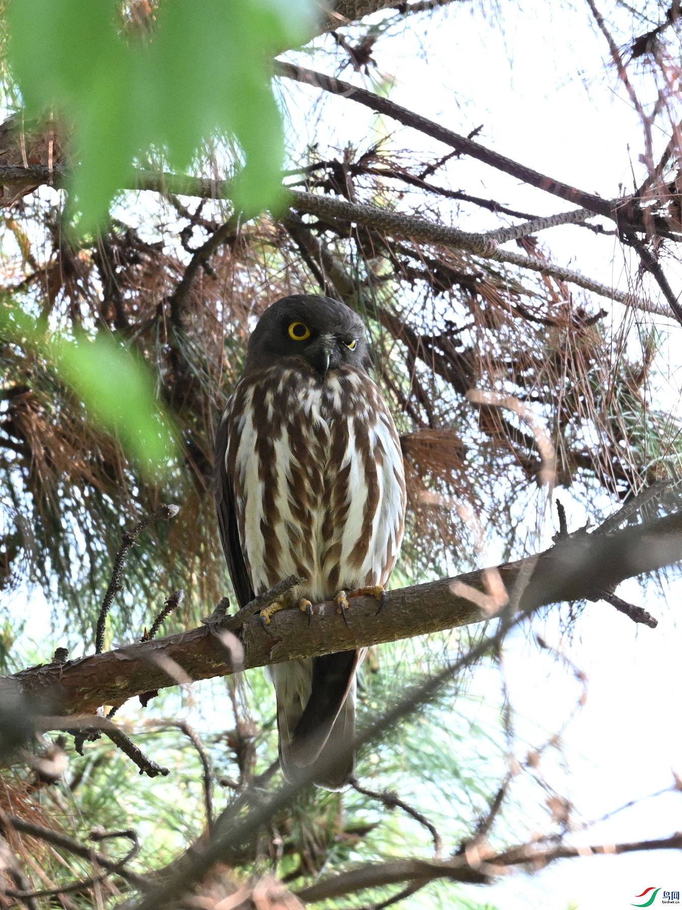 DSC_3352.JPG