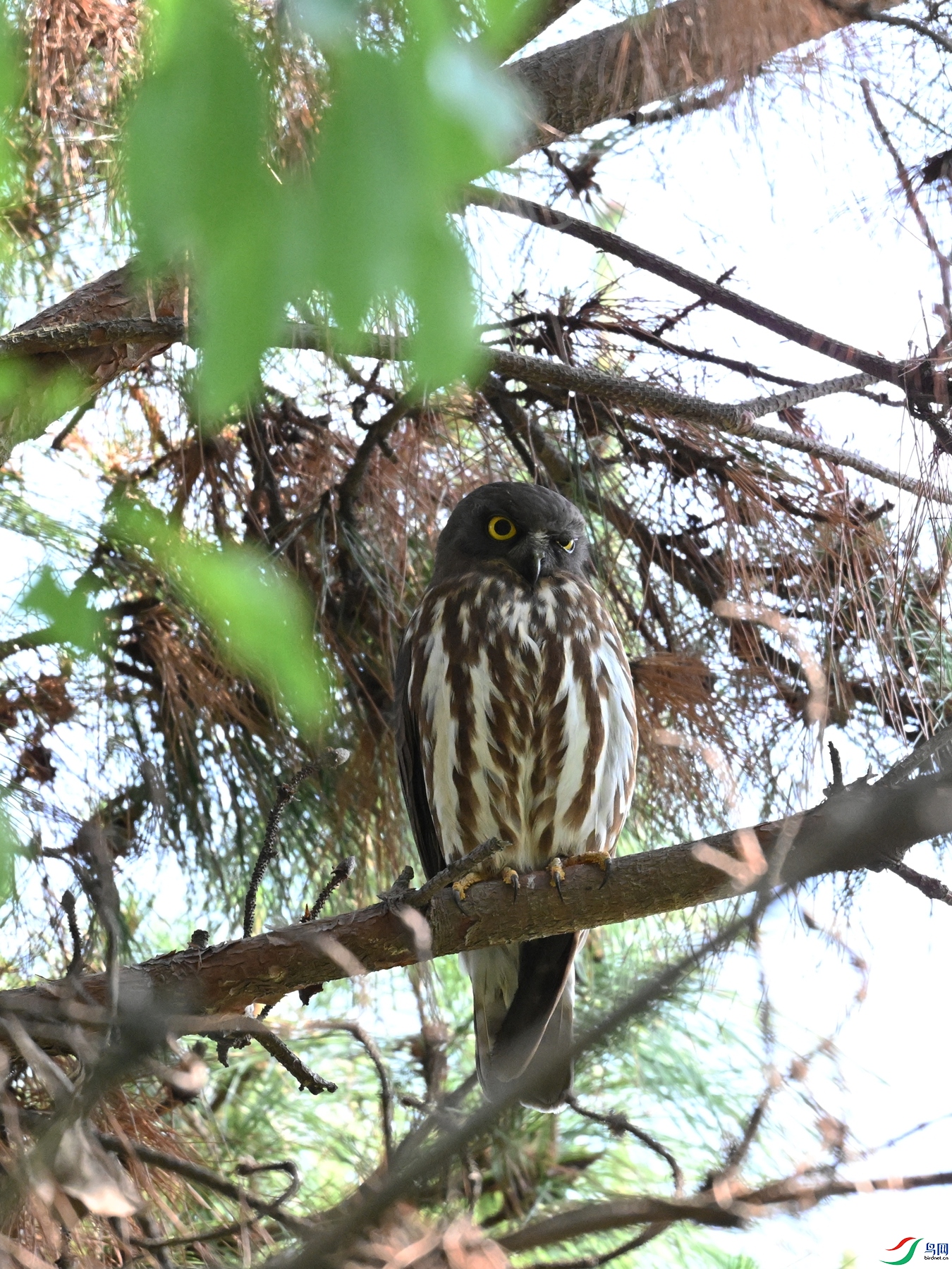 DSC_3353.JPG