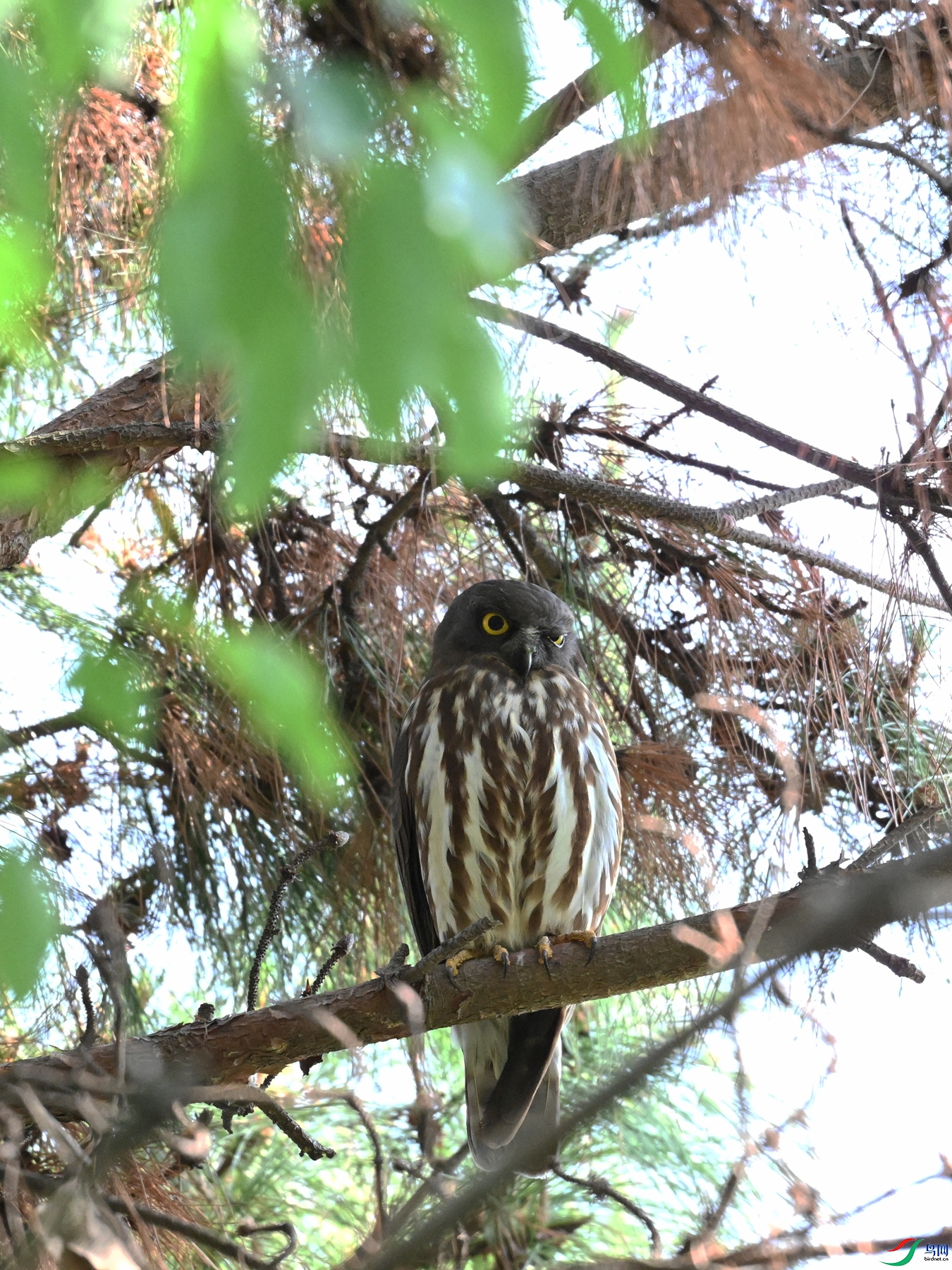 DSC_3355.JPG