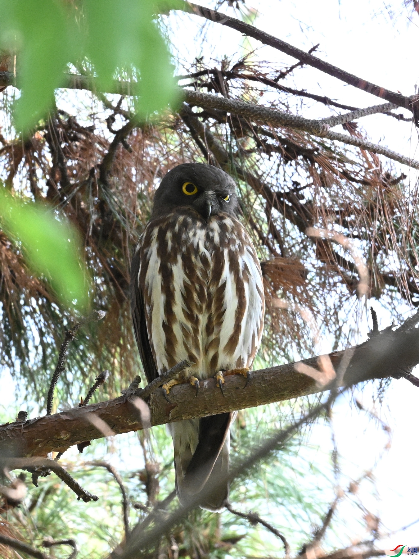 DSC_3354.JPG