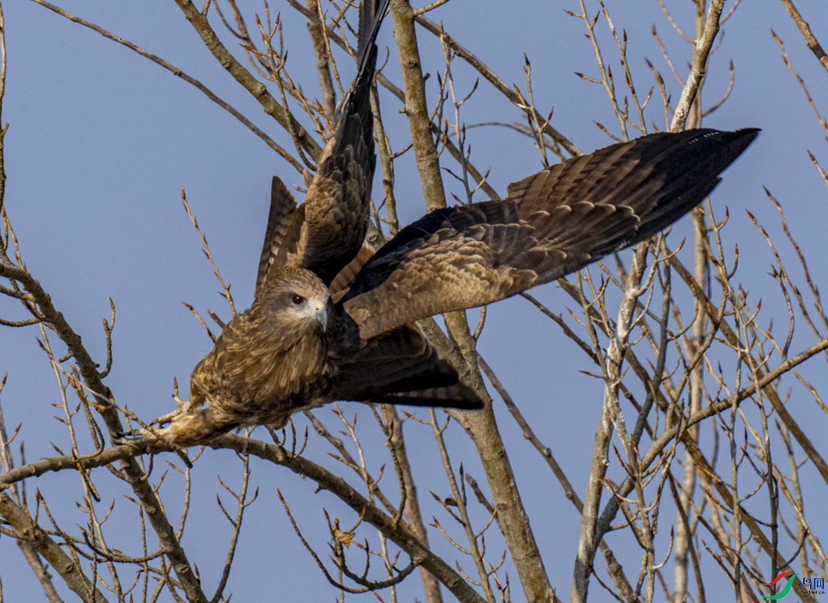P2120116_1�ڵ�_1_1.jpg