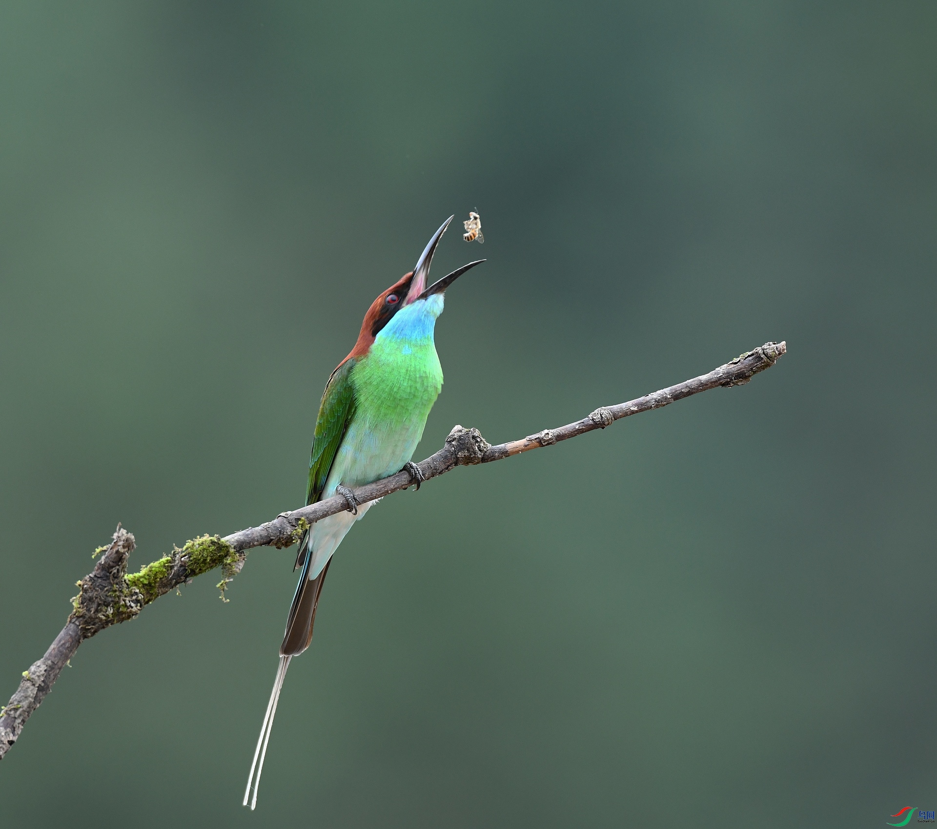 DSC_9413.jpg