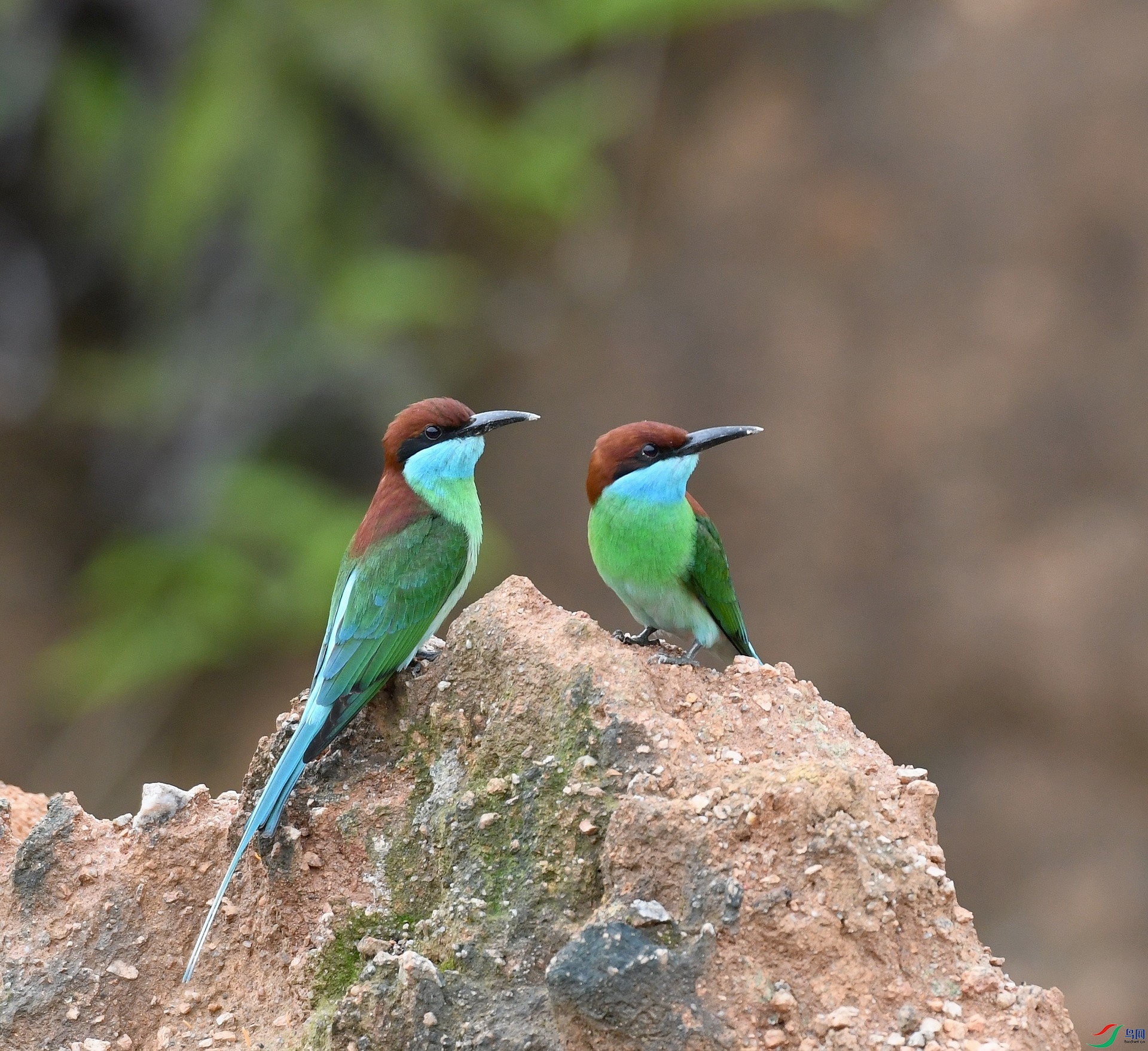 DSC_9417.jpg