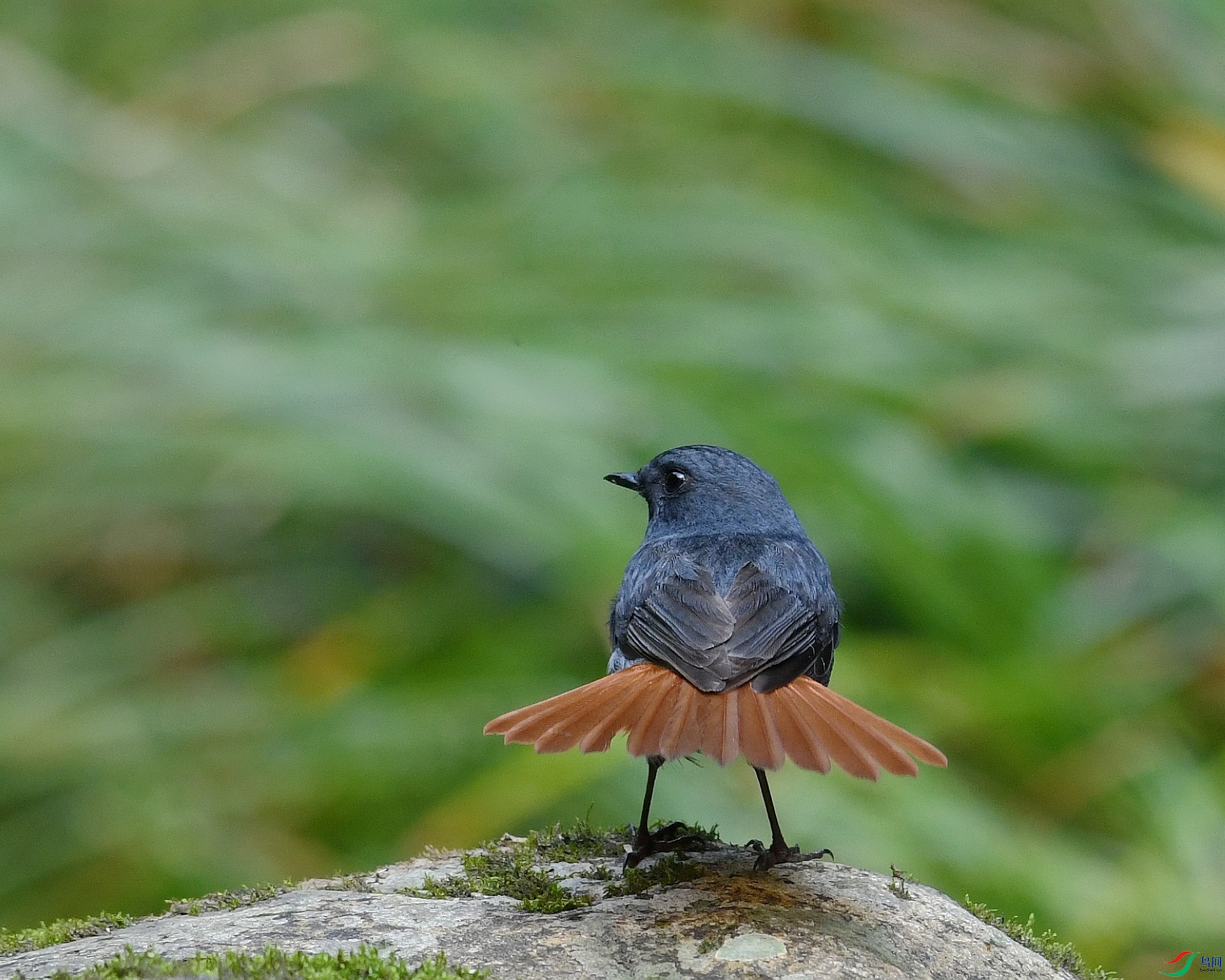 DSC_8110.jpg