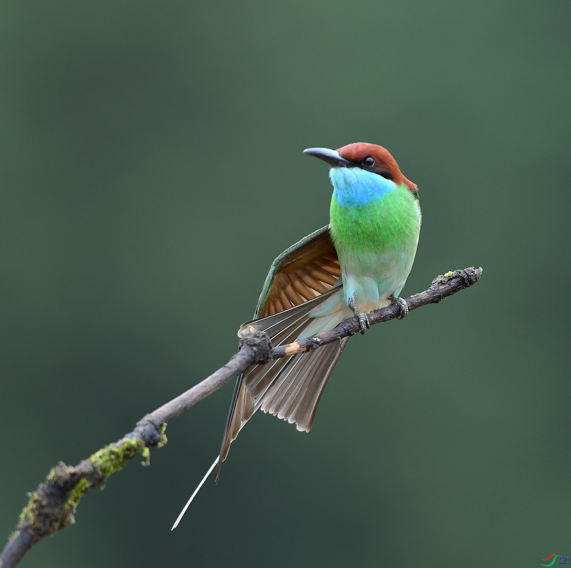 DSC_8468.jpg