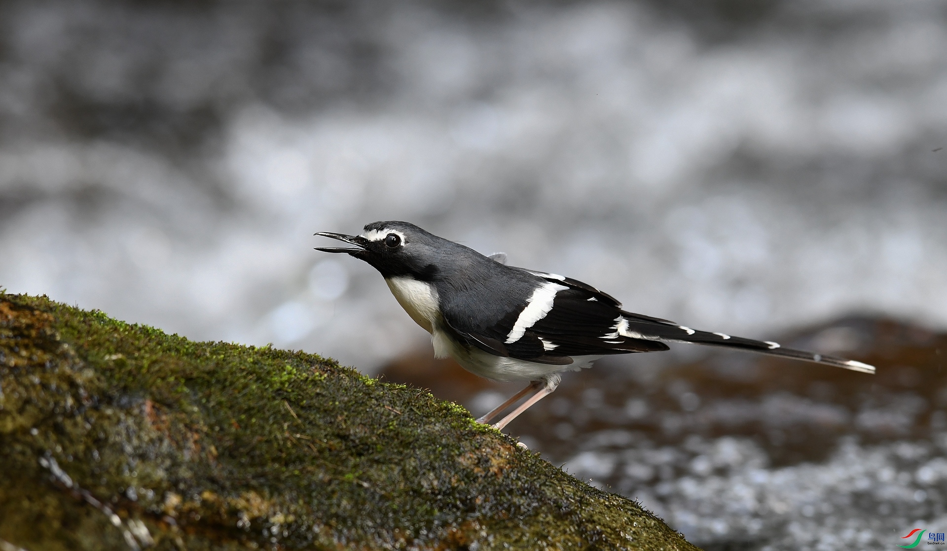 DSC_8452.jpg
