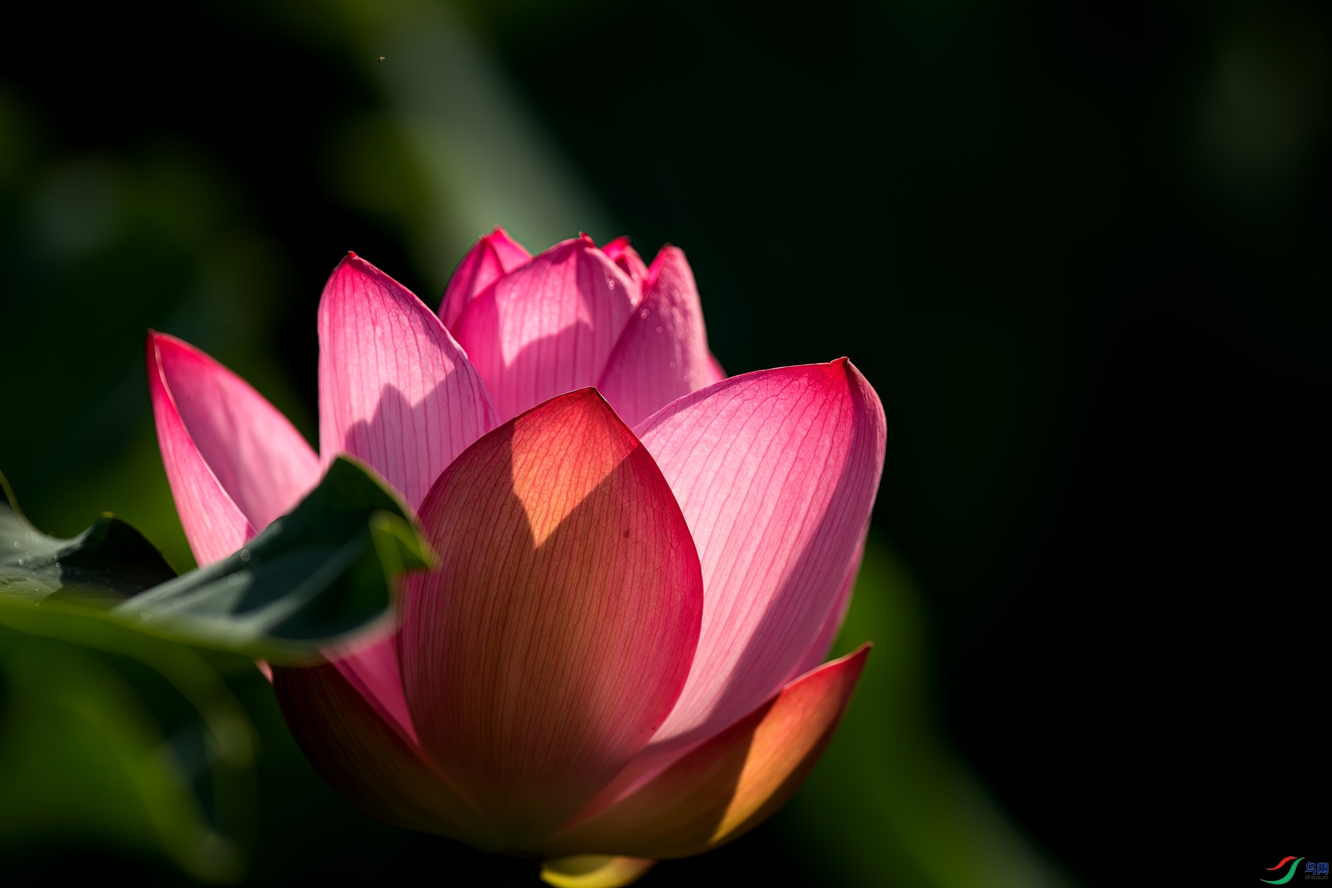 B86I0250 _����.jpg