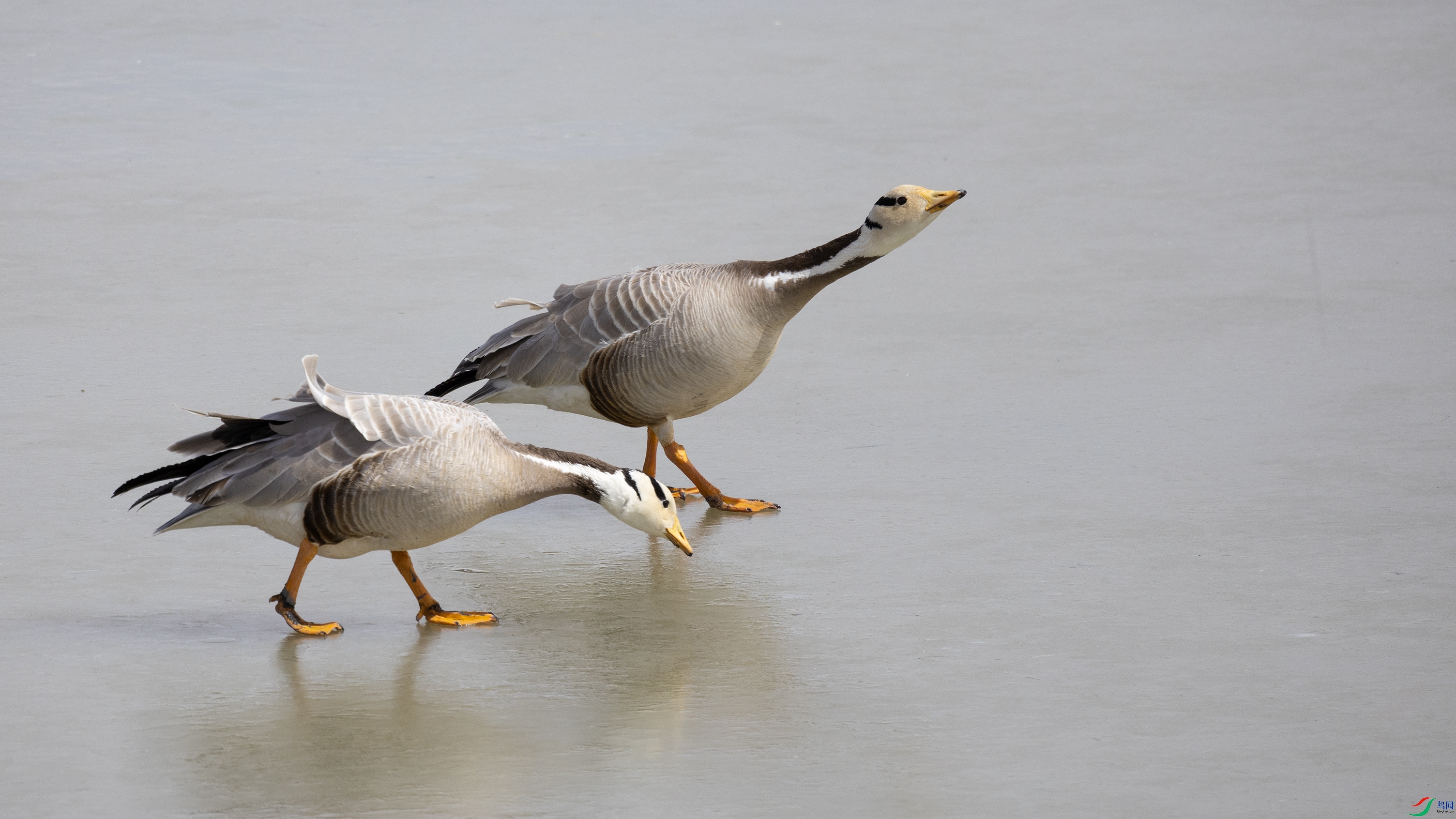 7X5A4517 ����444.jpg