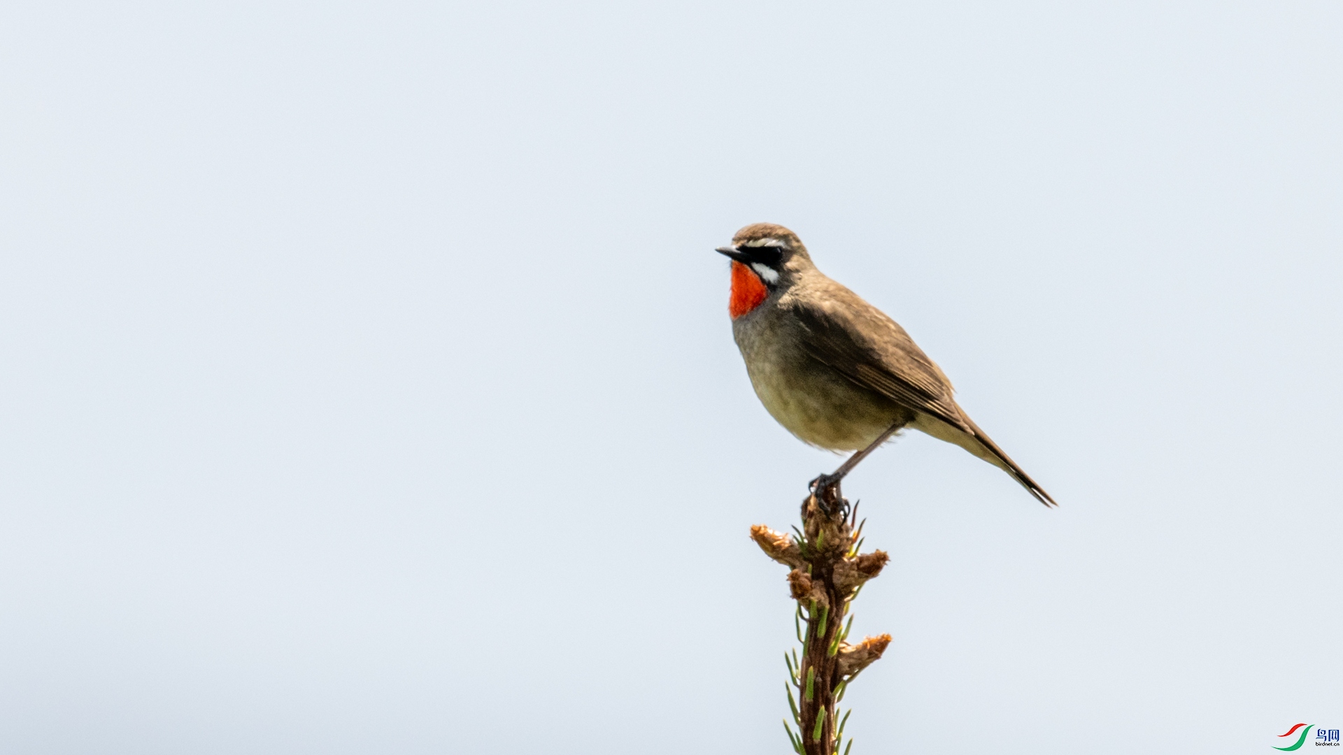 _DSC6440 ����_����.jpg