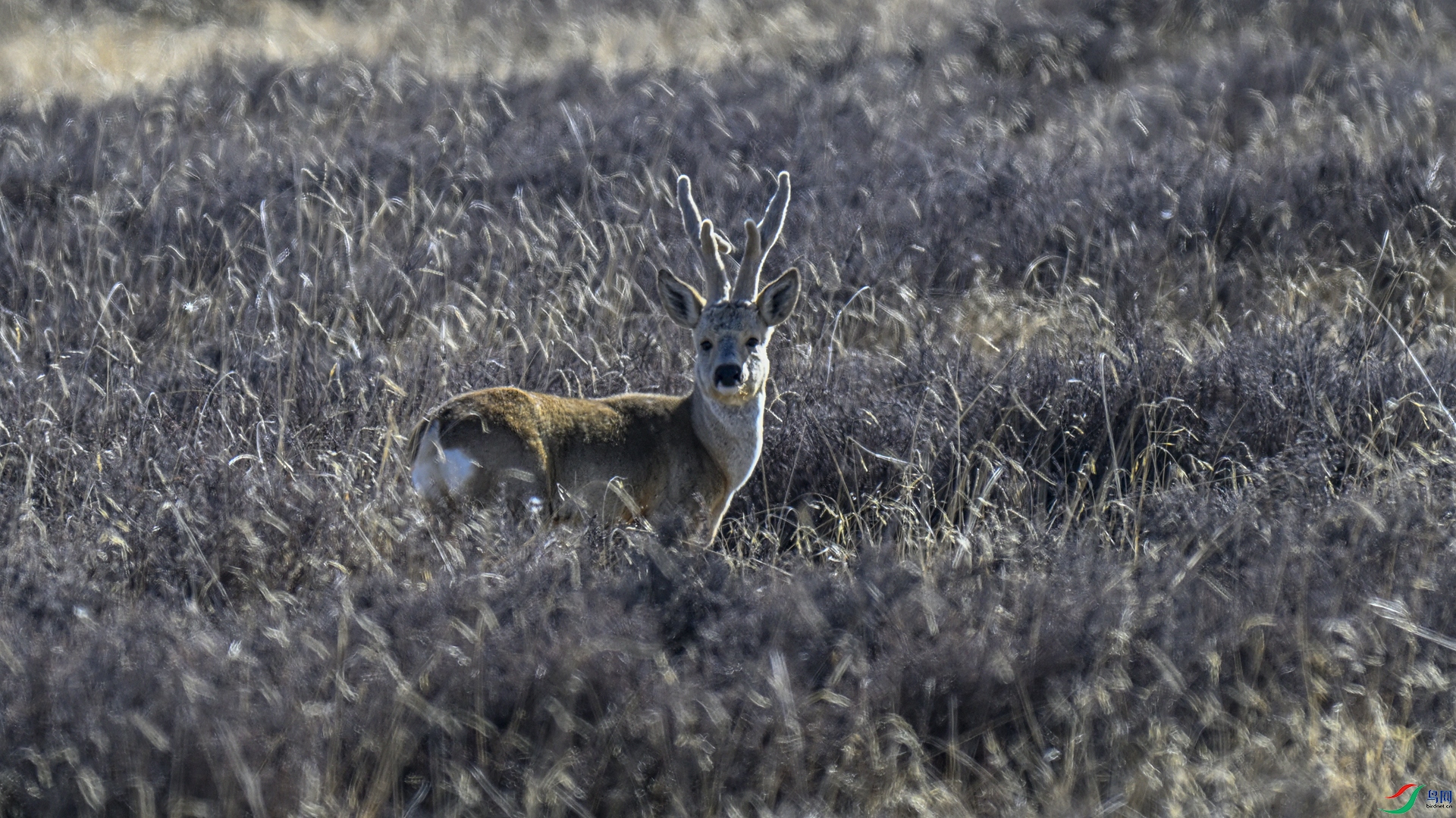 _DSC5334_����.jpg