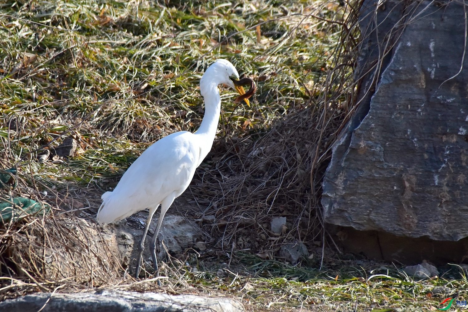 DSC_6186.JPG