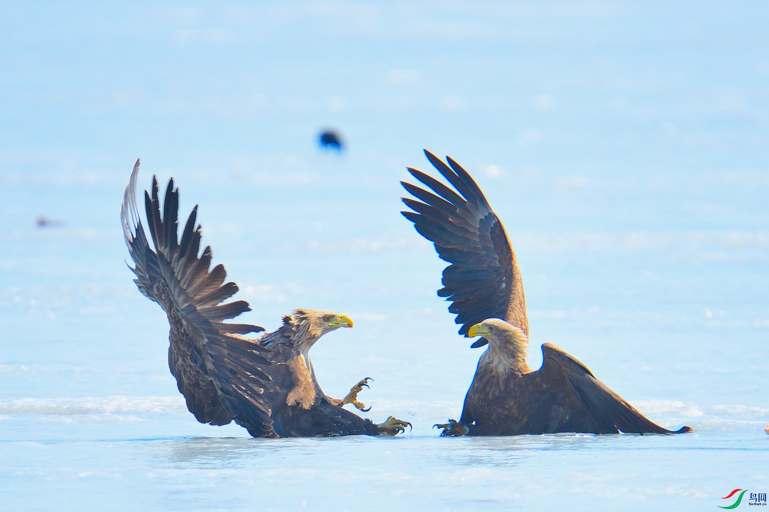 DSC_2764.JPG