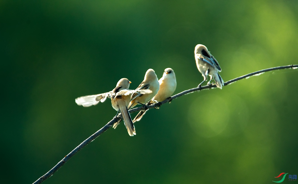 DSC_9118.jpg