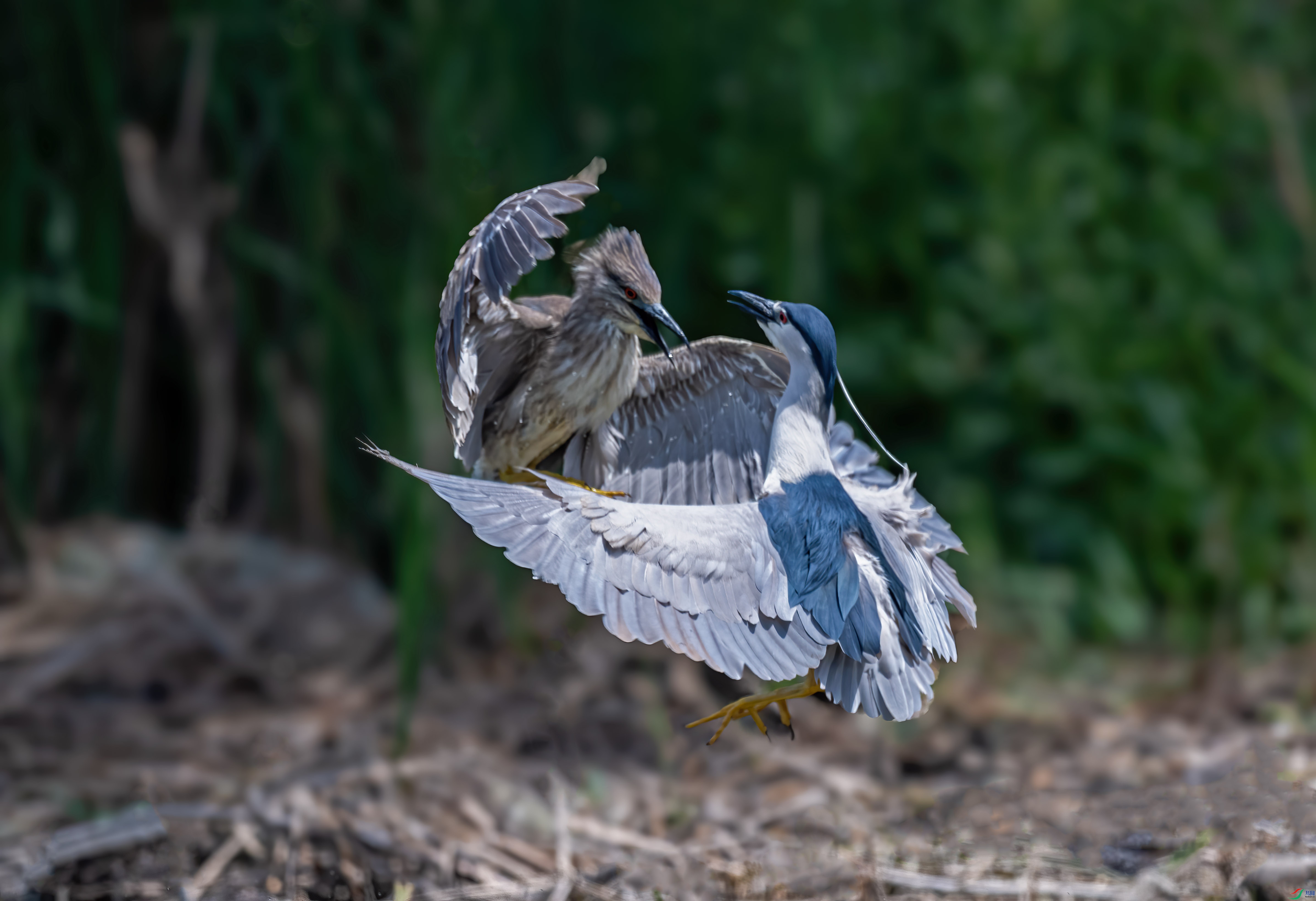 DSC_6729����2.jpg