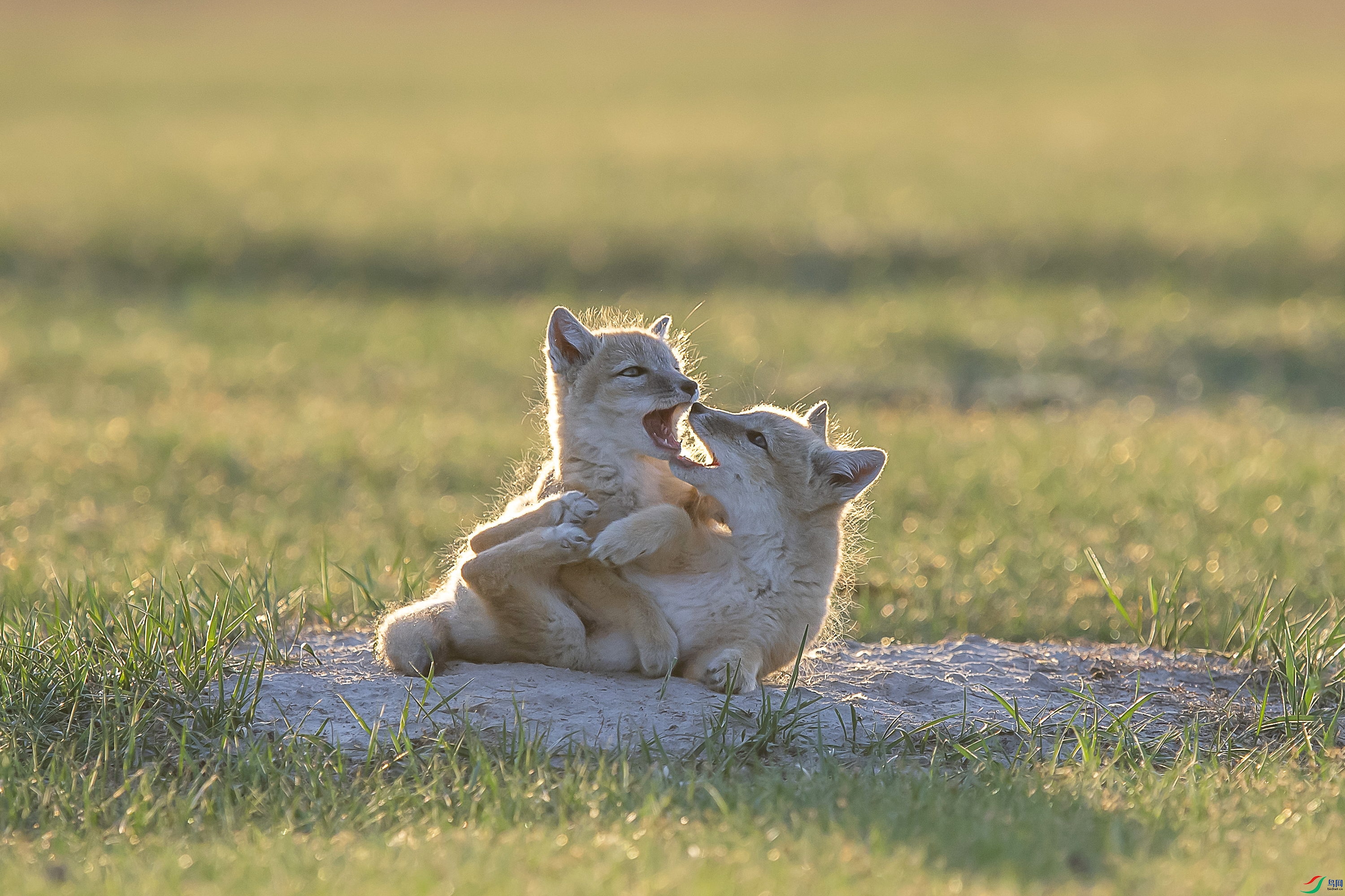 DSC_7754_1.jpg