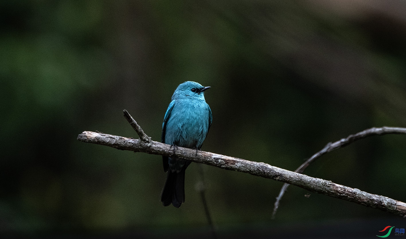 _DSC1935 ����.jpg