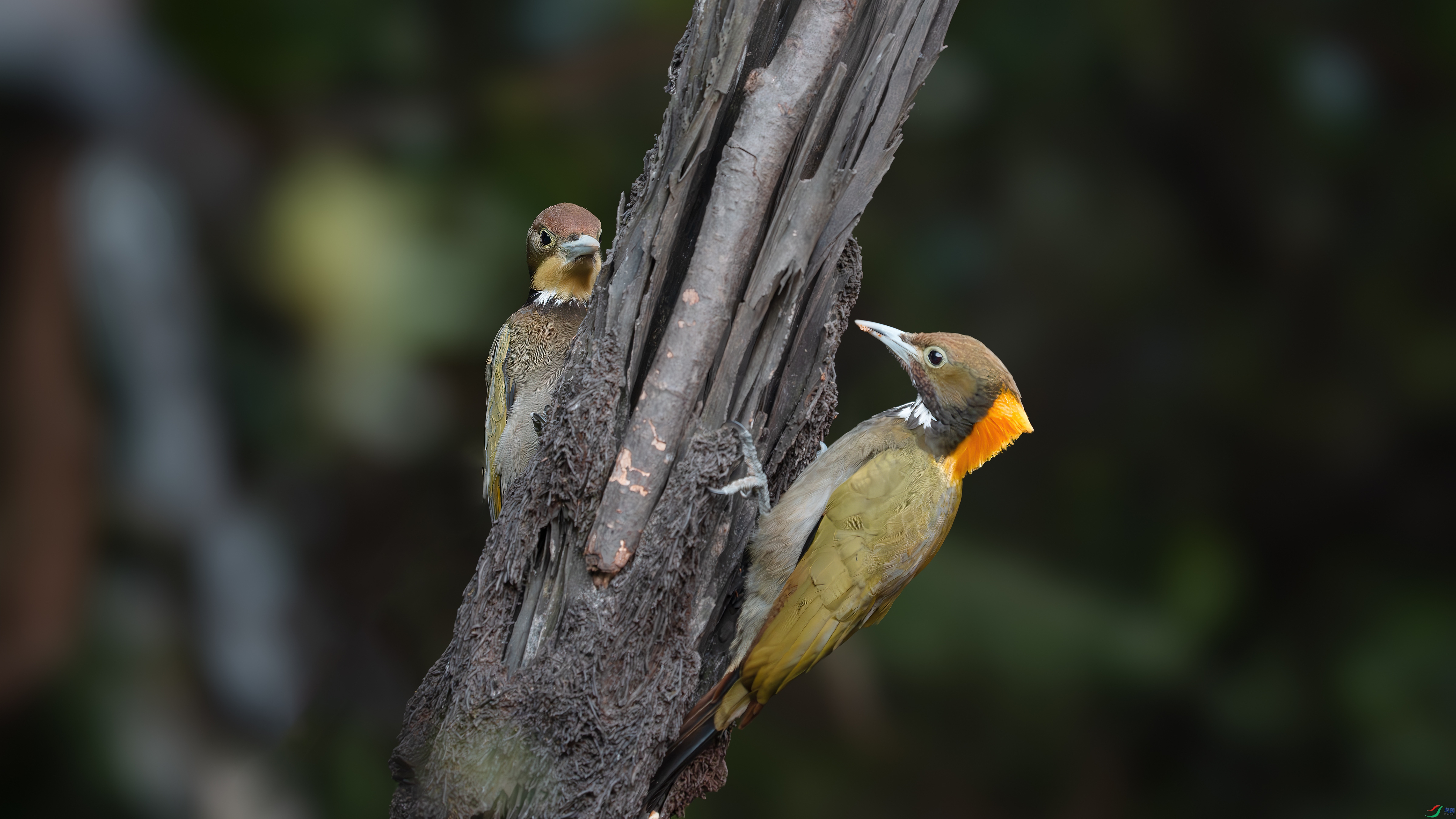 _DSC6429 ����.jpg