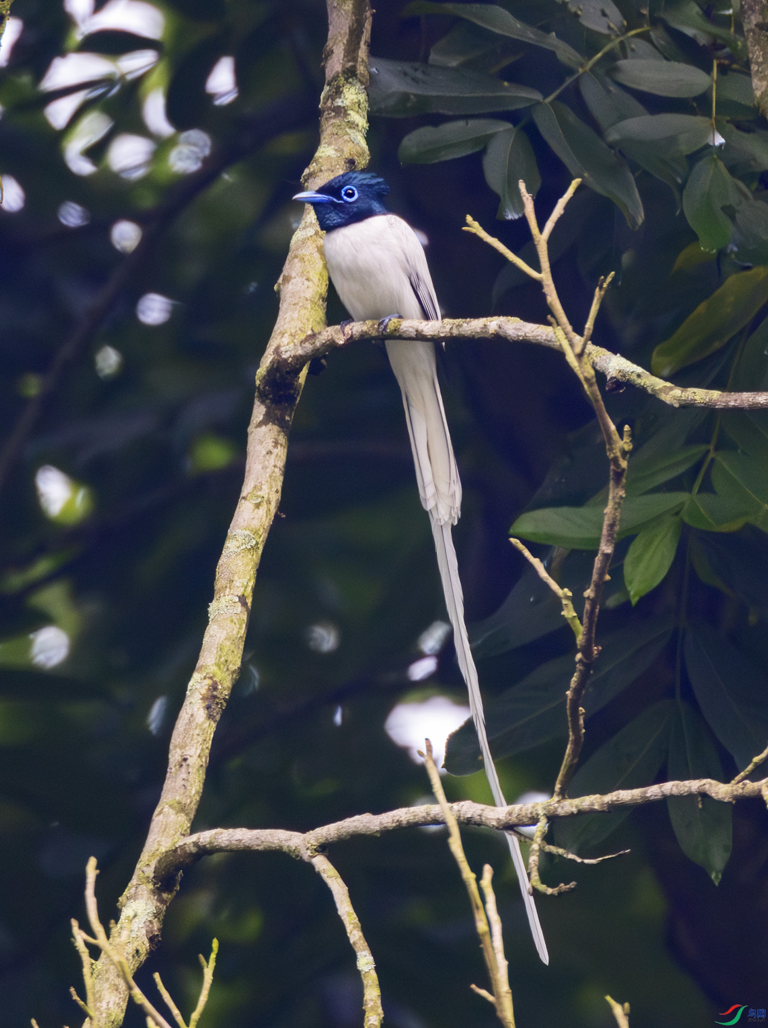 2I1A7255-����ǿ-NR-1 ����.jpg