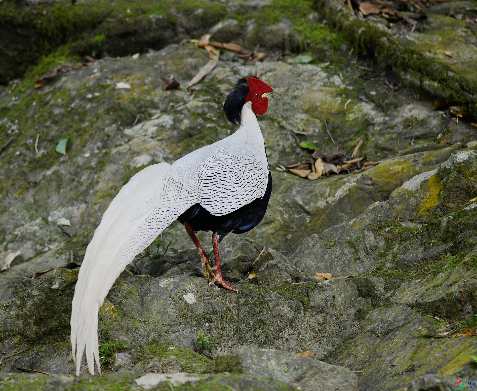 DSC_6638.jpg