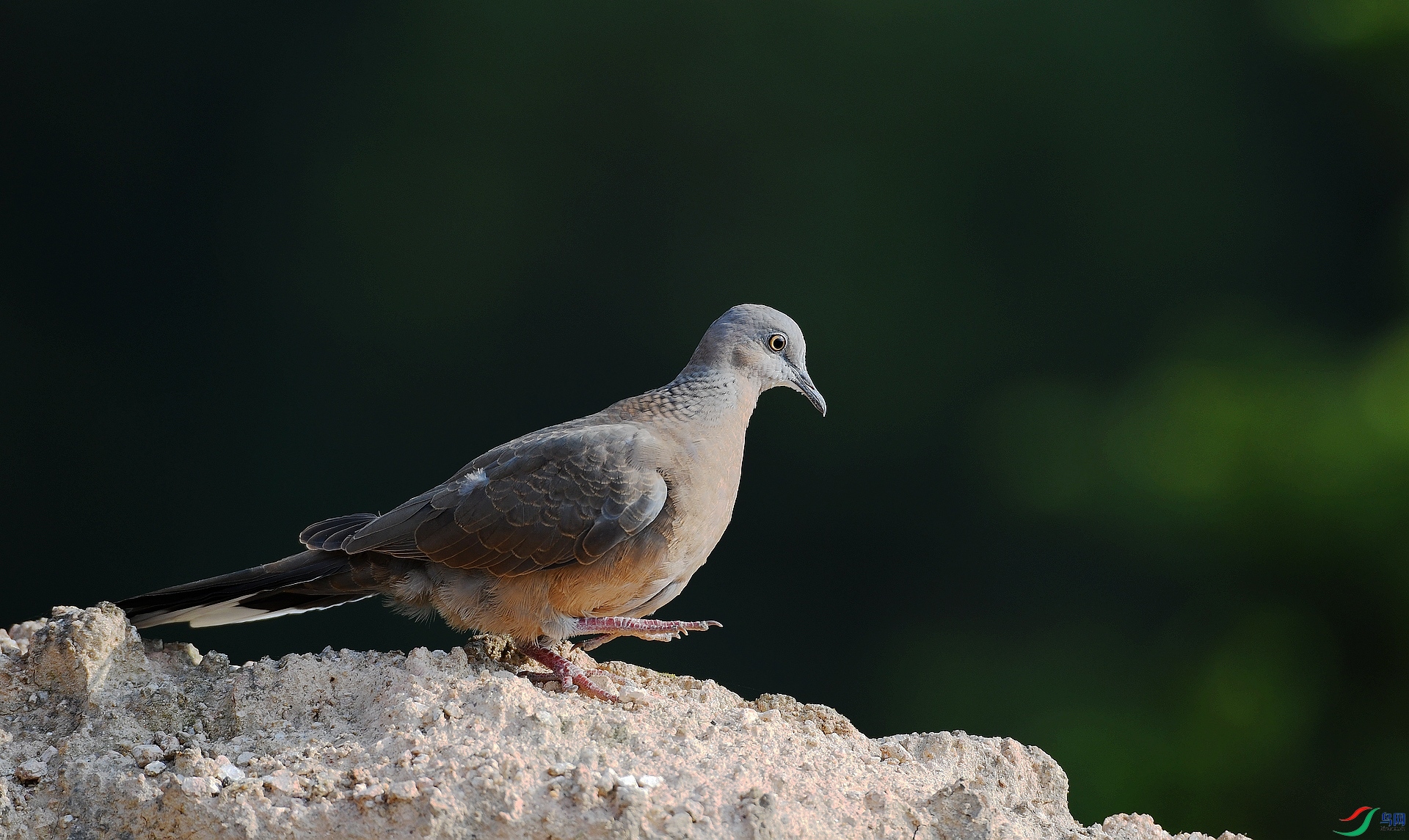 DSC_7745.jpg