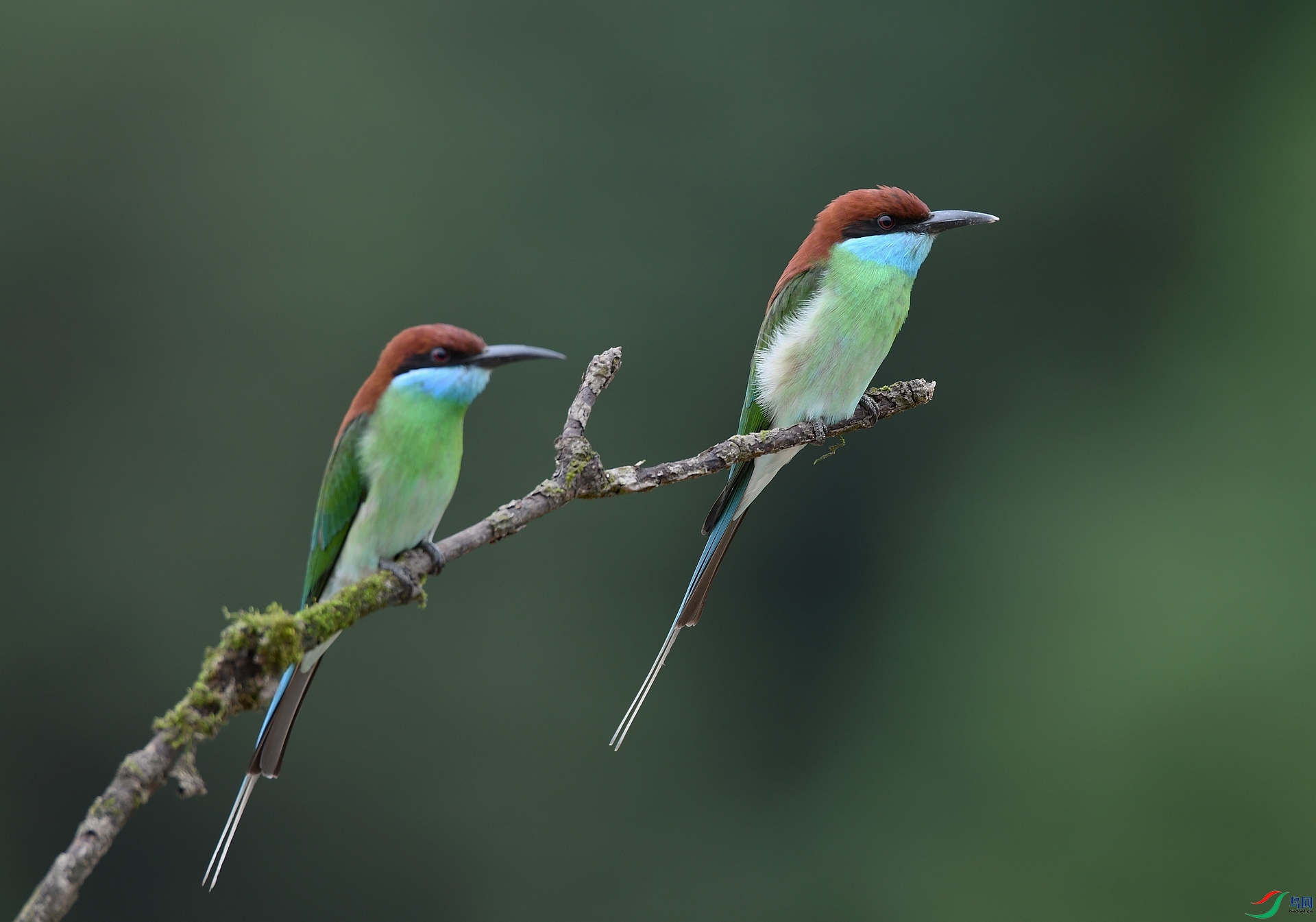 DSC_1535.jpg