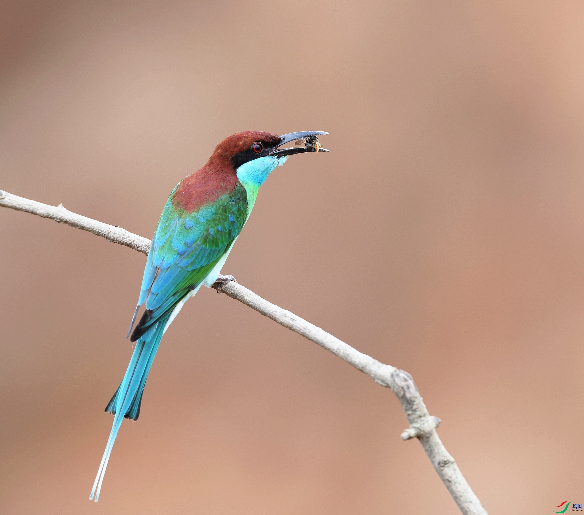 DSC_1289.jpg