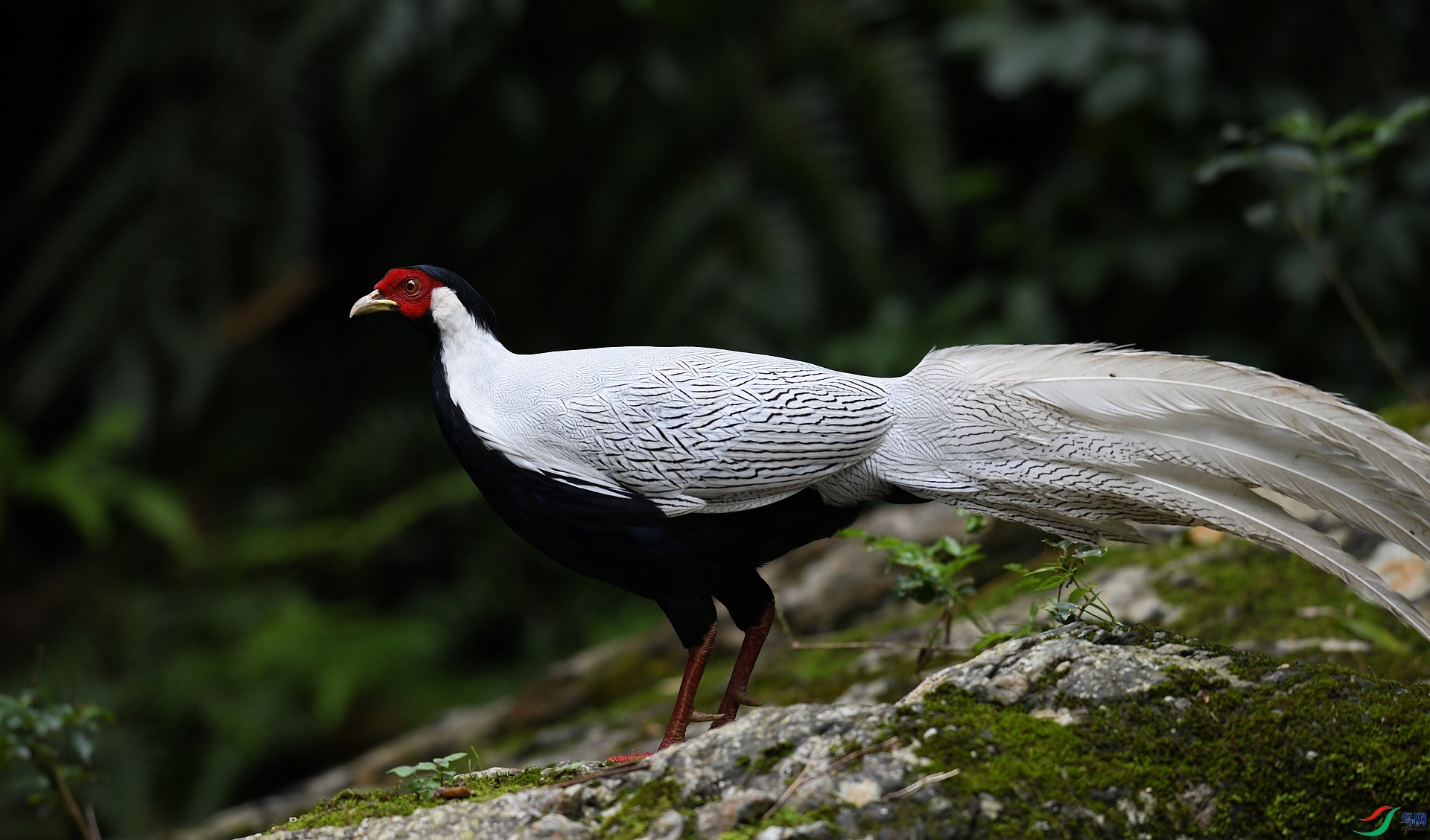 DSC_5040.jpg