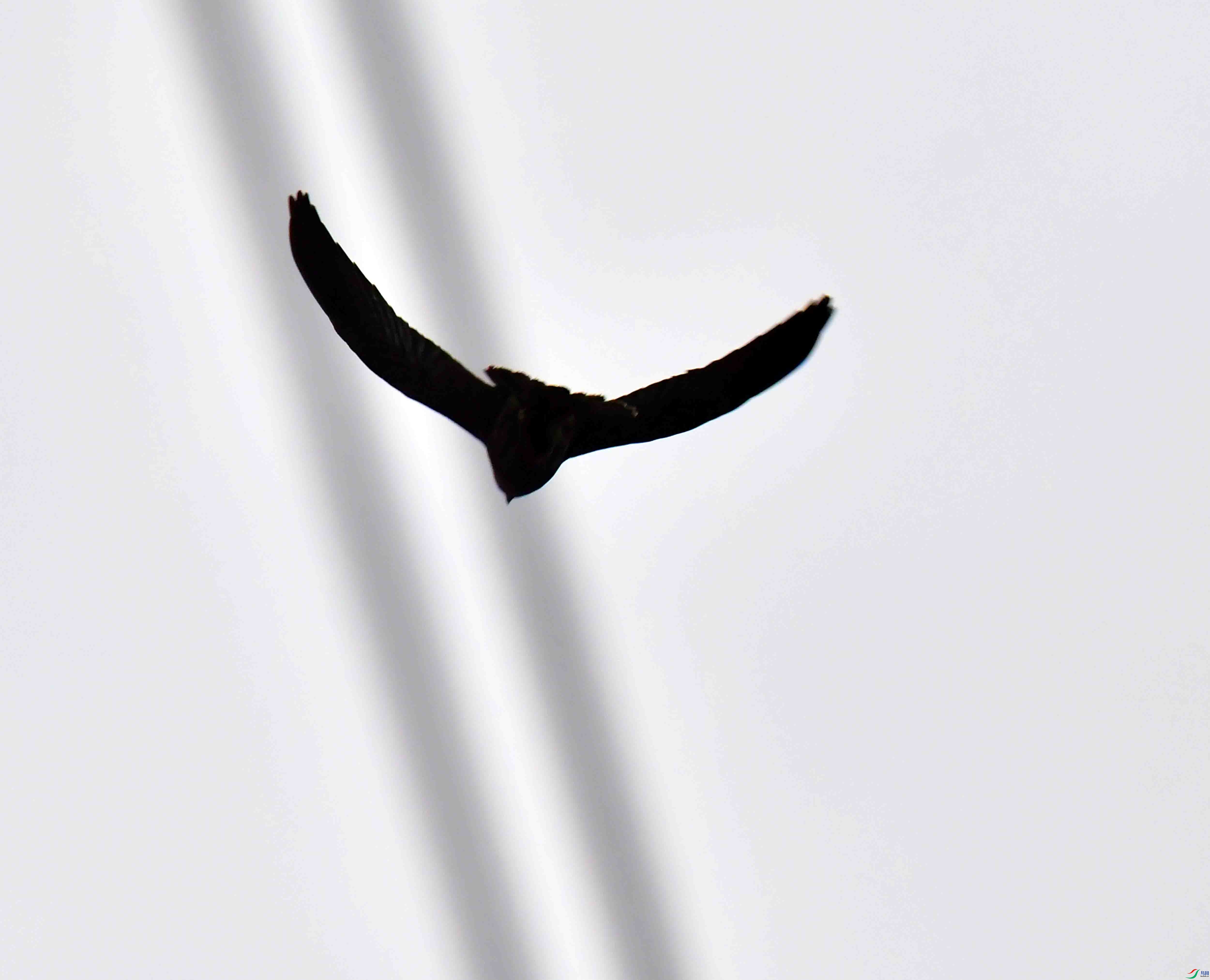 DSC_3930.JPG