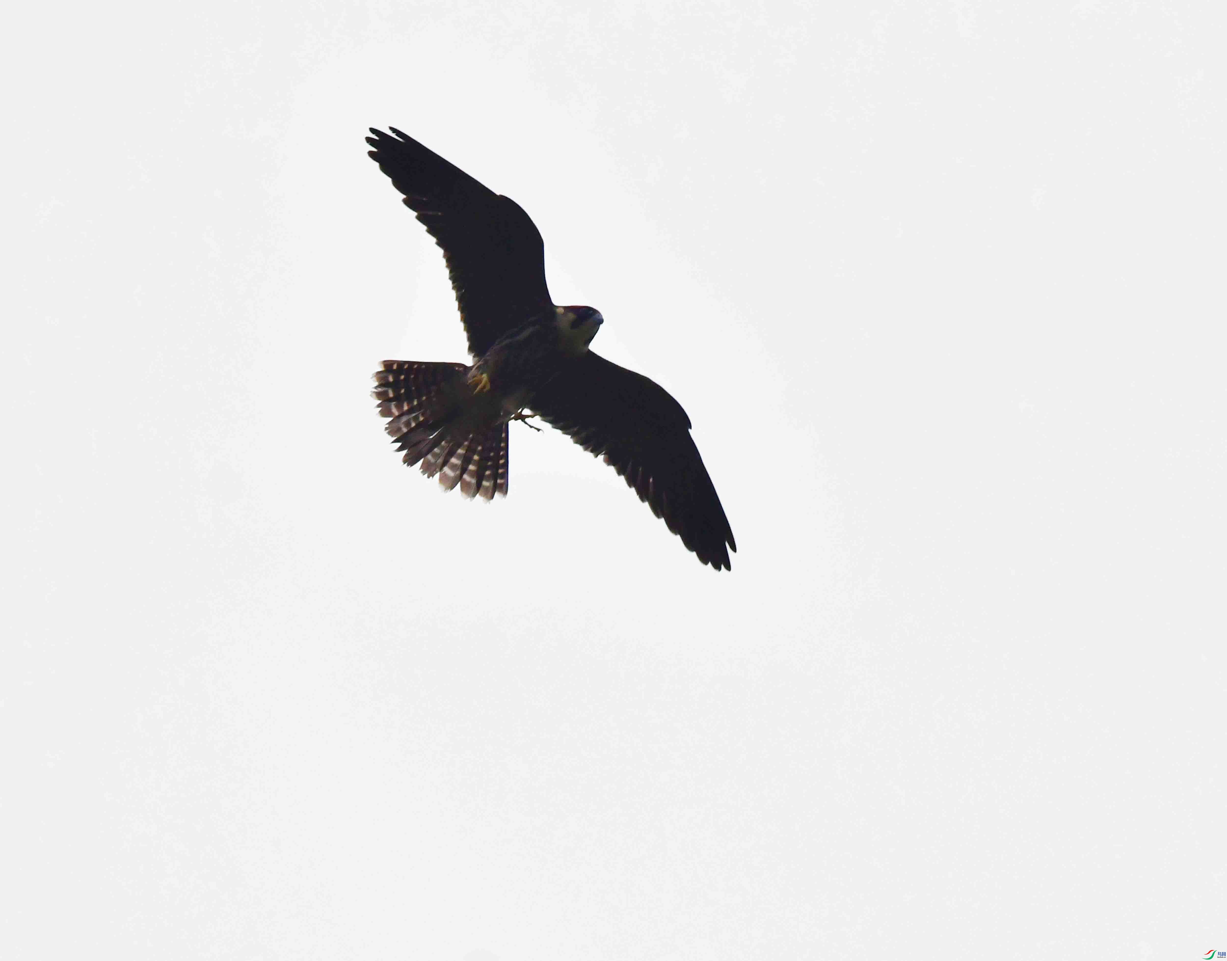 DSC_3941.JPG