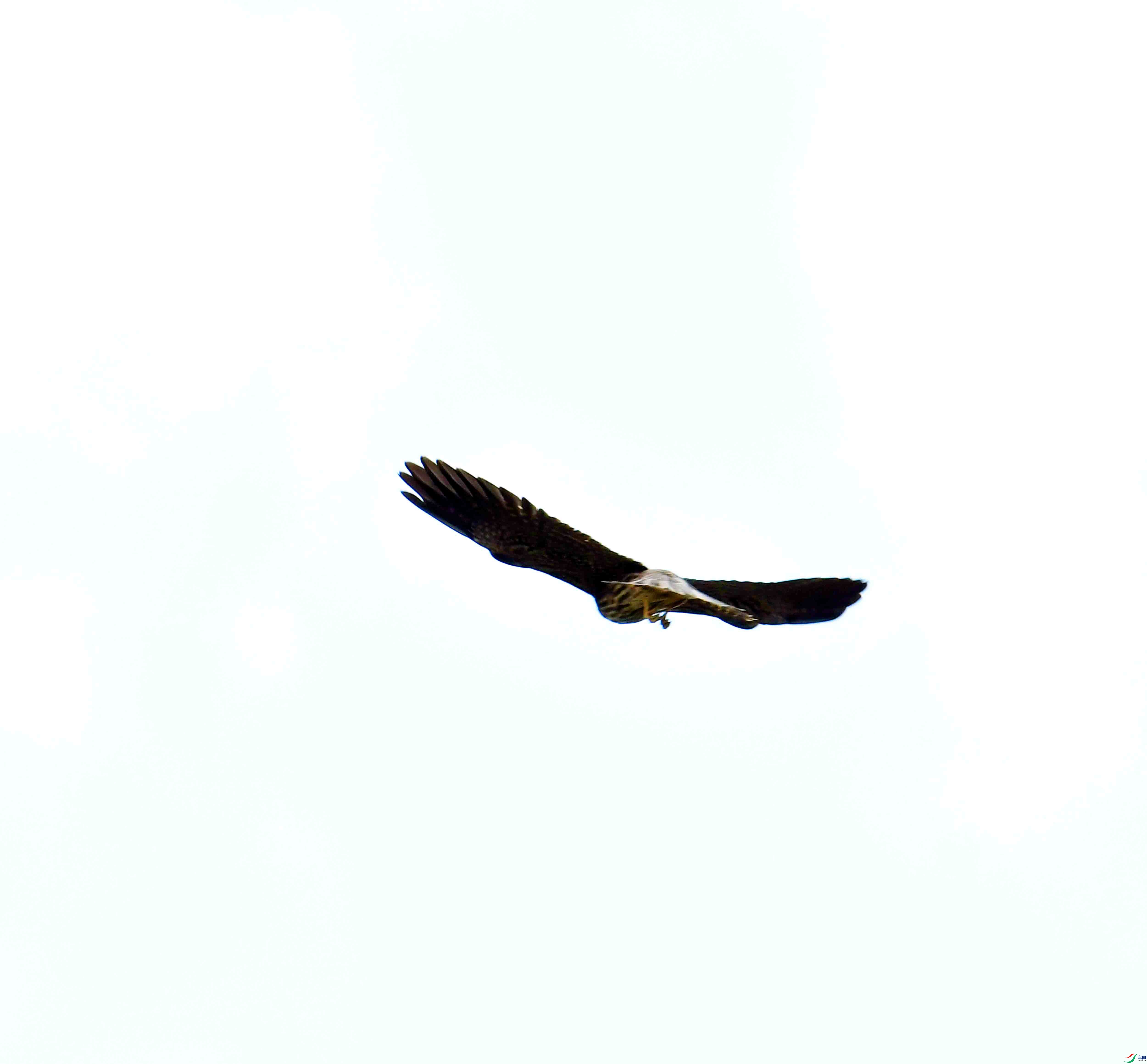DSC_4803.JPG