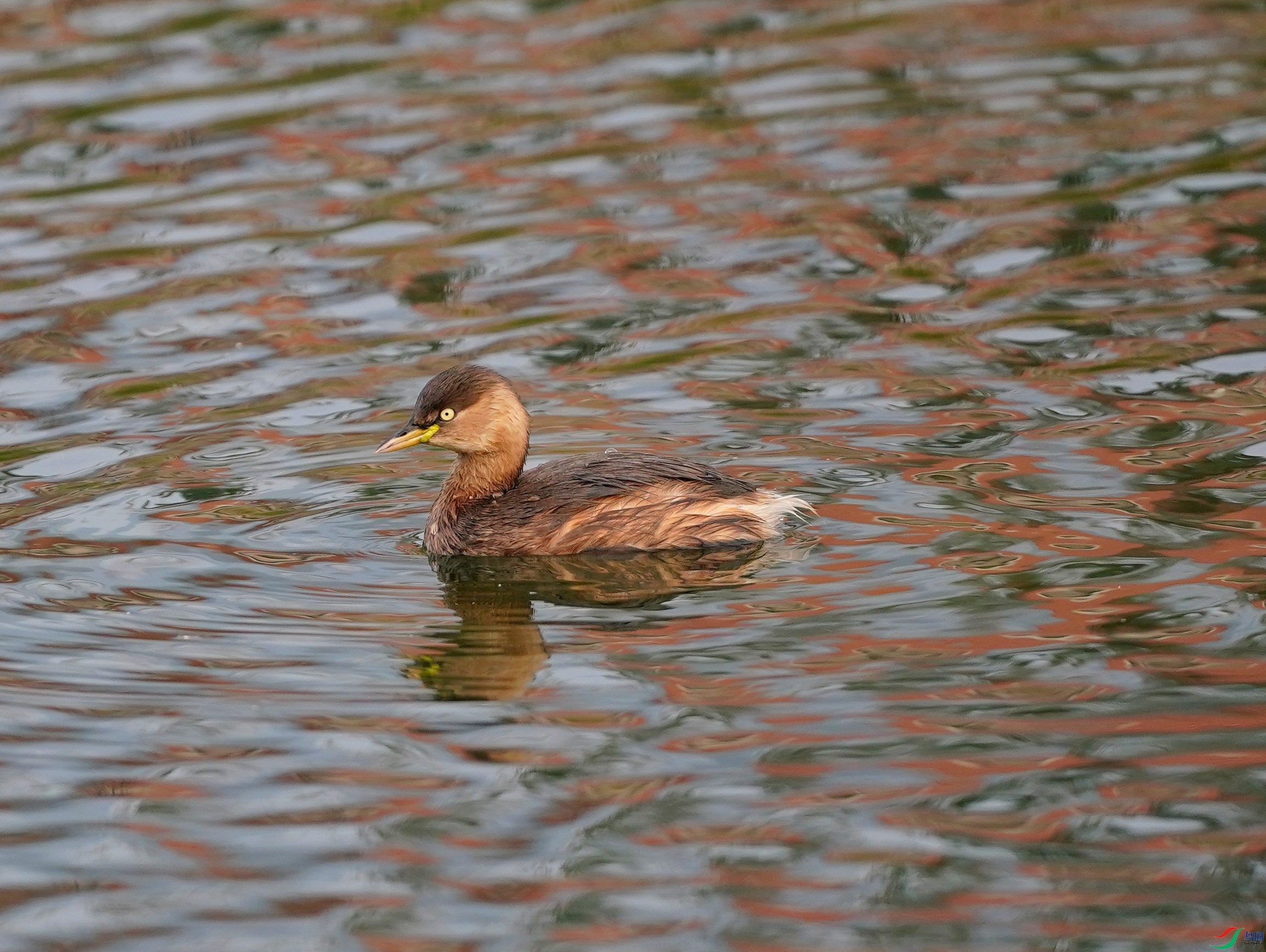 DSC07812.JPG