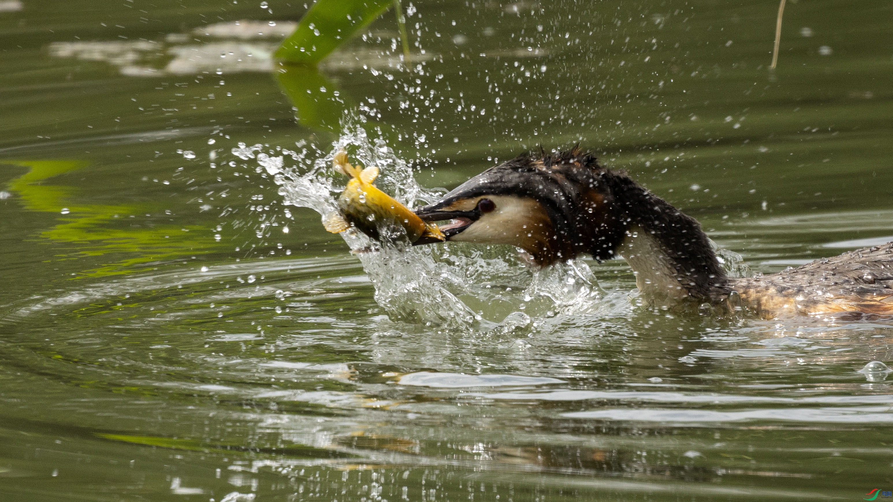 7X5A4304 ����.jpg