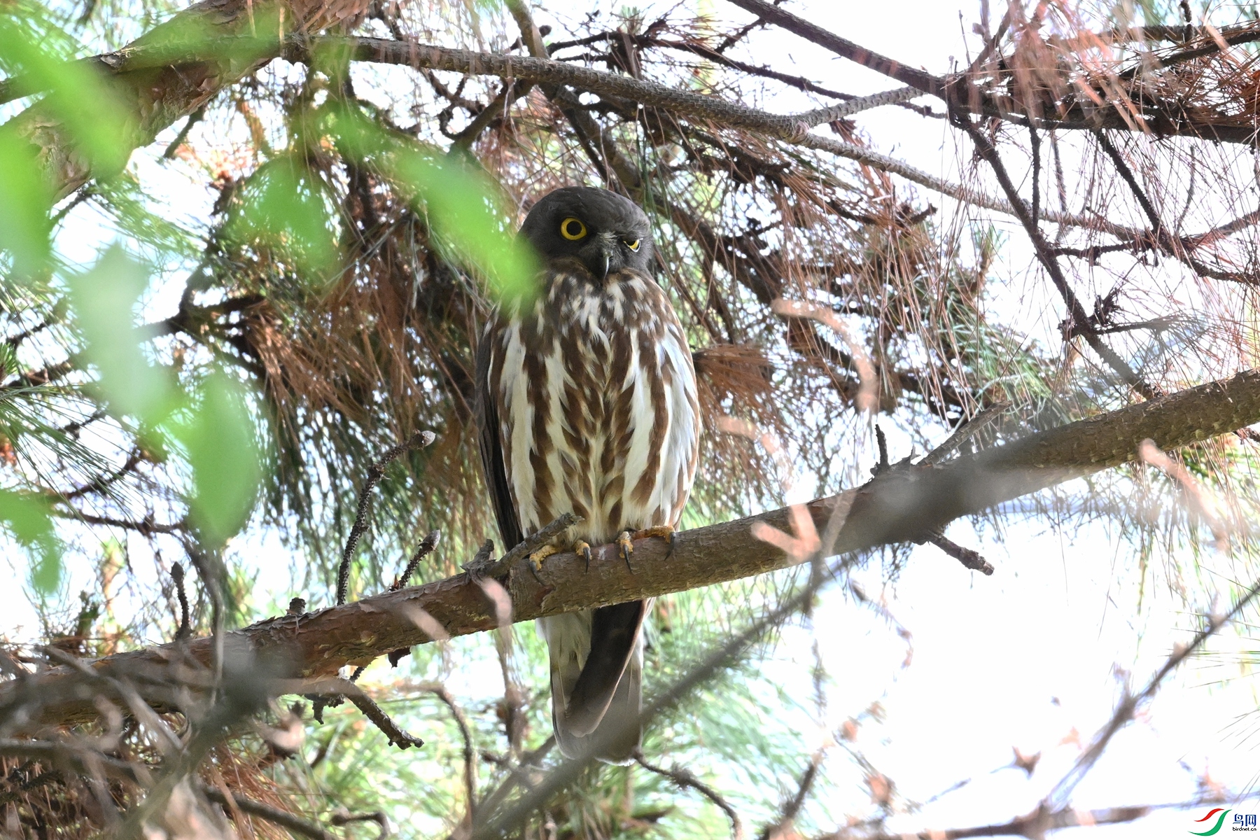 DSC_3348.JPG
