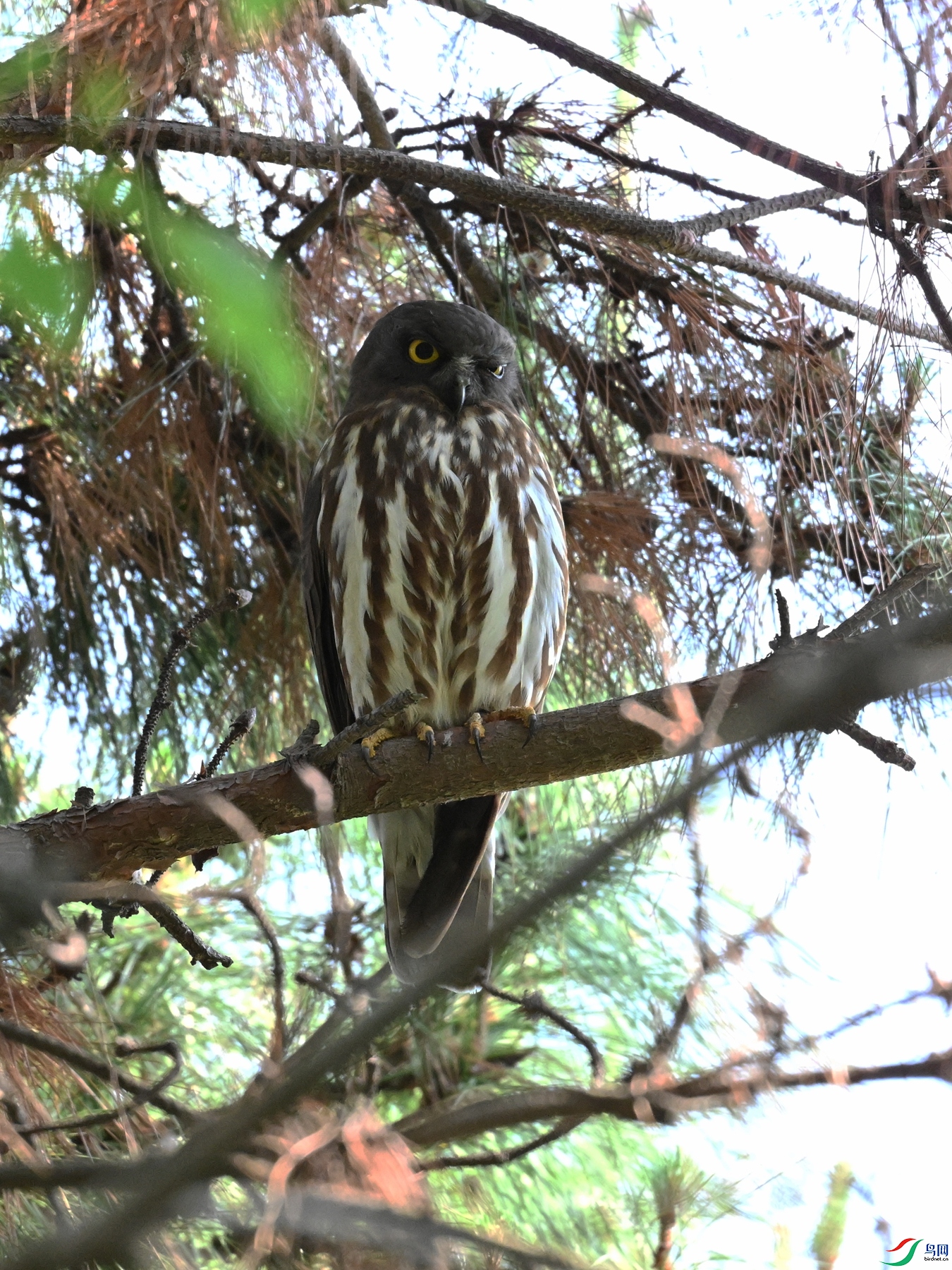 DSC_3362.JPG