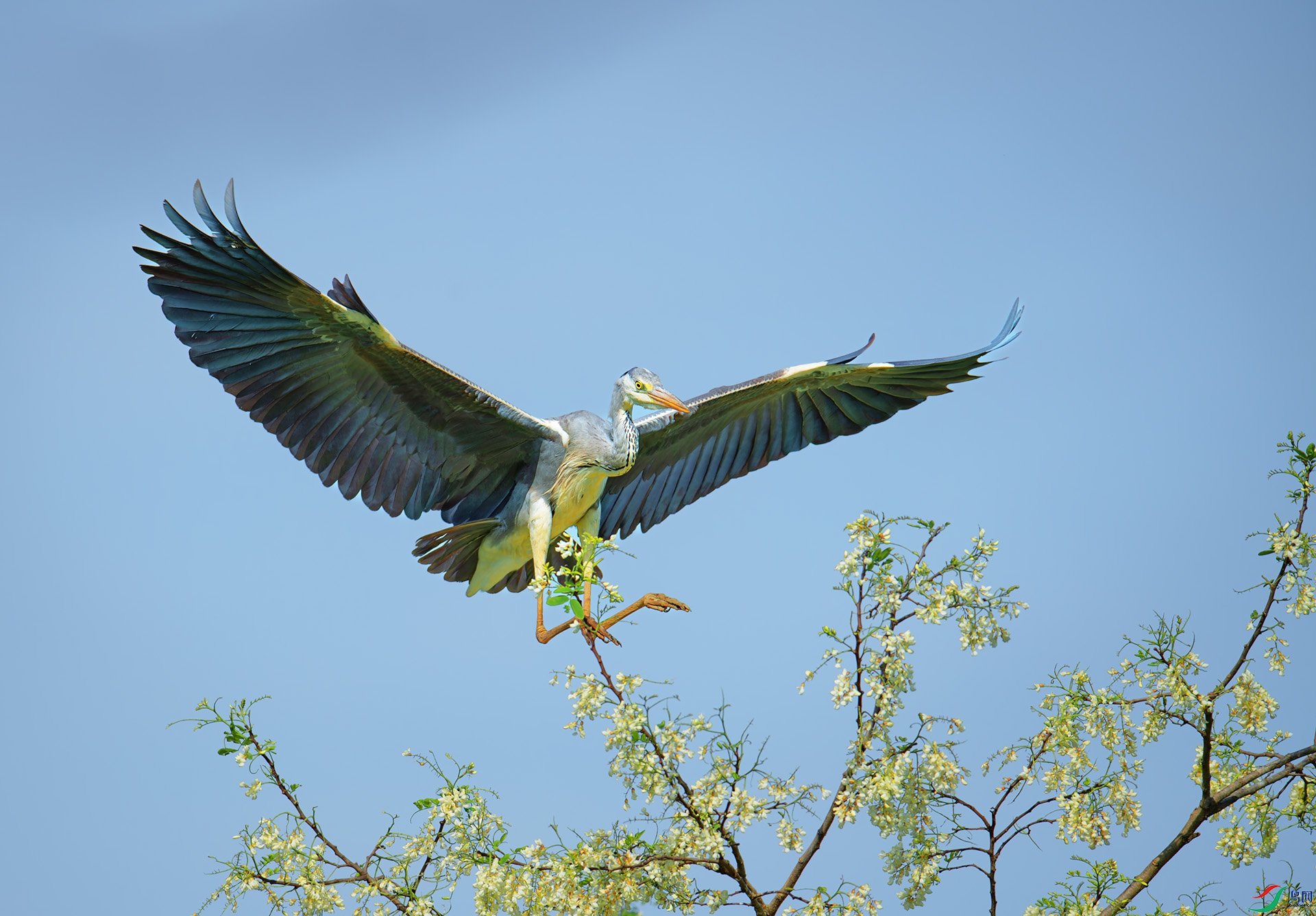 DSC_9050-1.jpg
