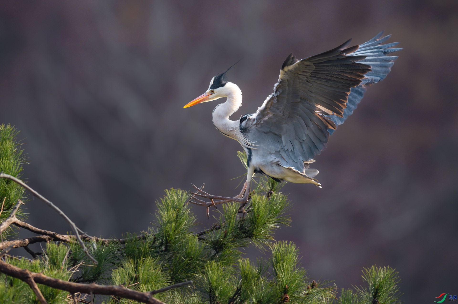 sen2016 4-3-1-�༭-3.jpg