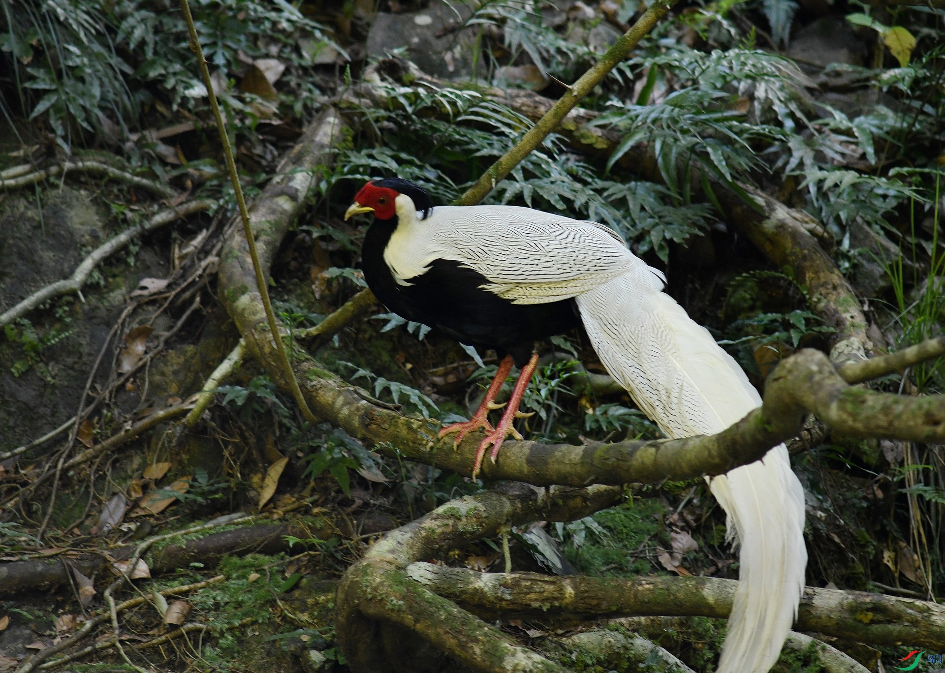 DSC_6639.jpg
