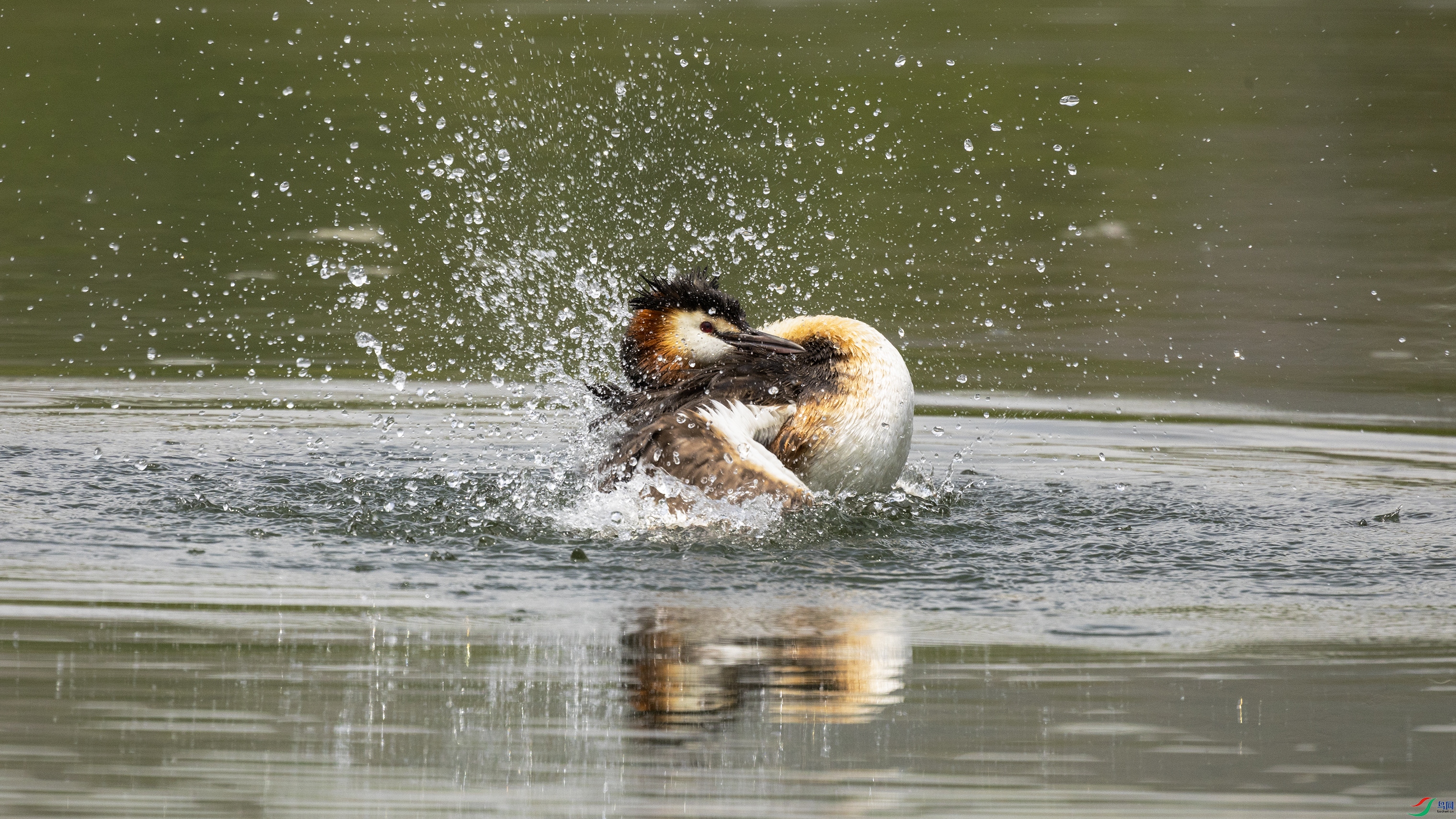 7X5A4406 ����444.jpg