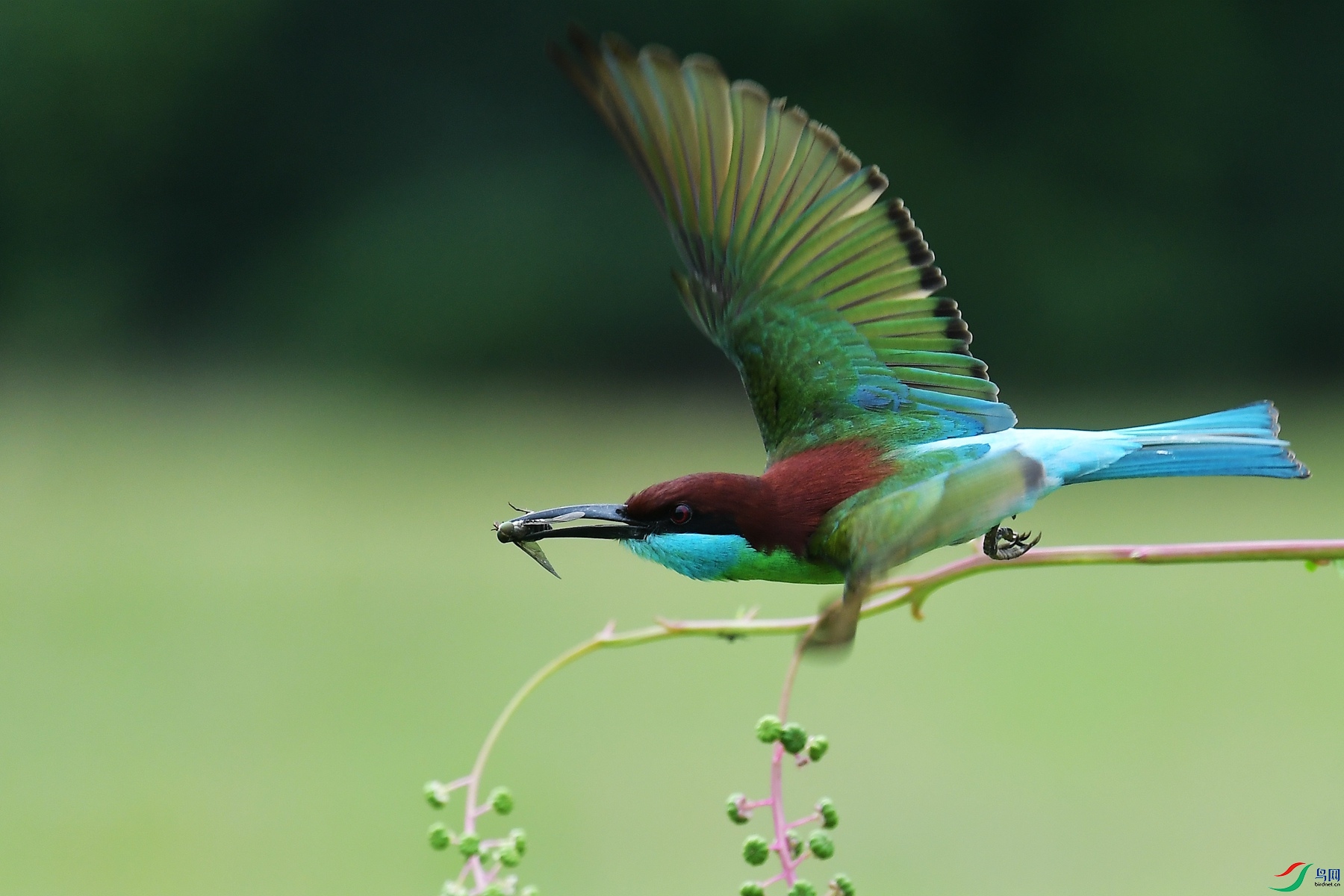 DSC_4939_�ɻ�.jpg