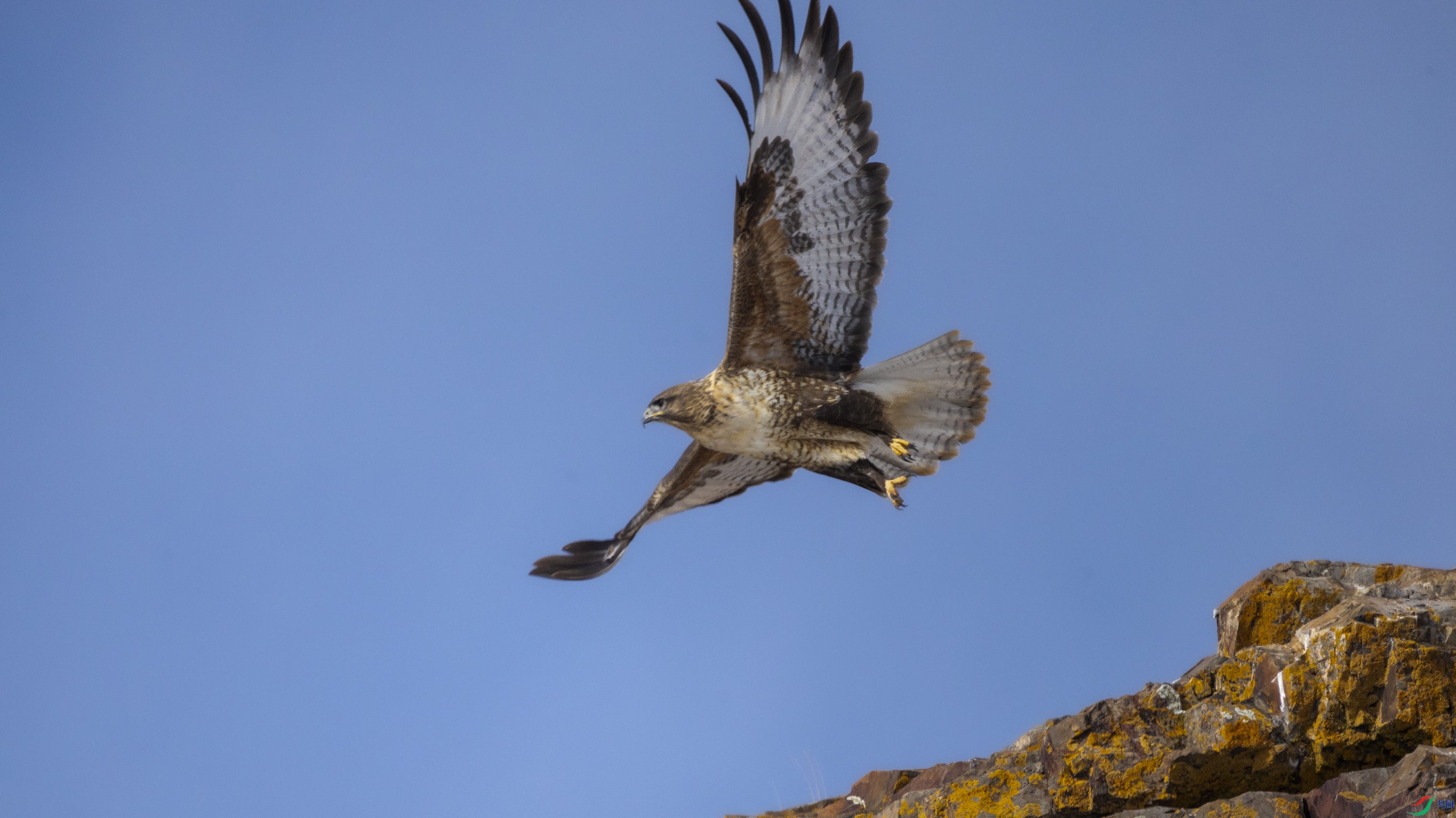 7X5A1458 ��4444.jpg