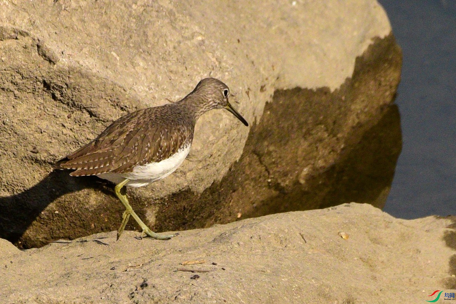 DSC_3388.JPG