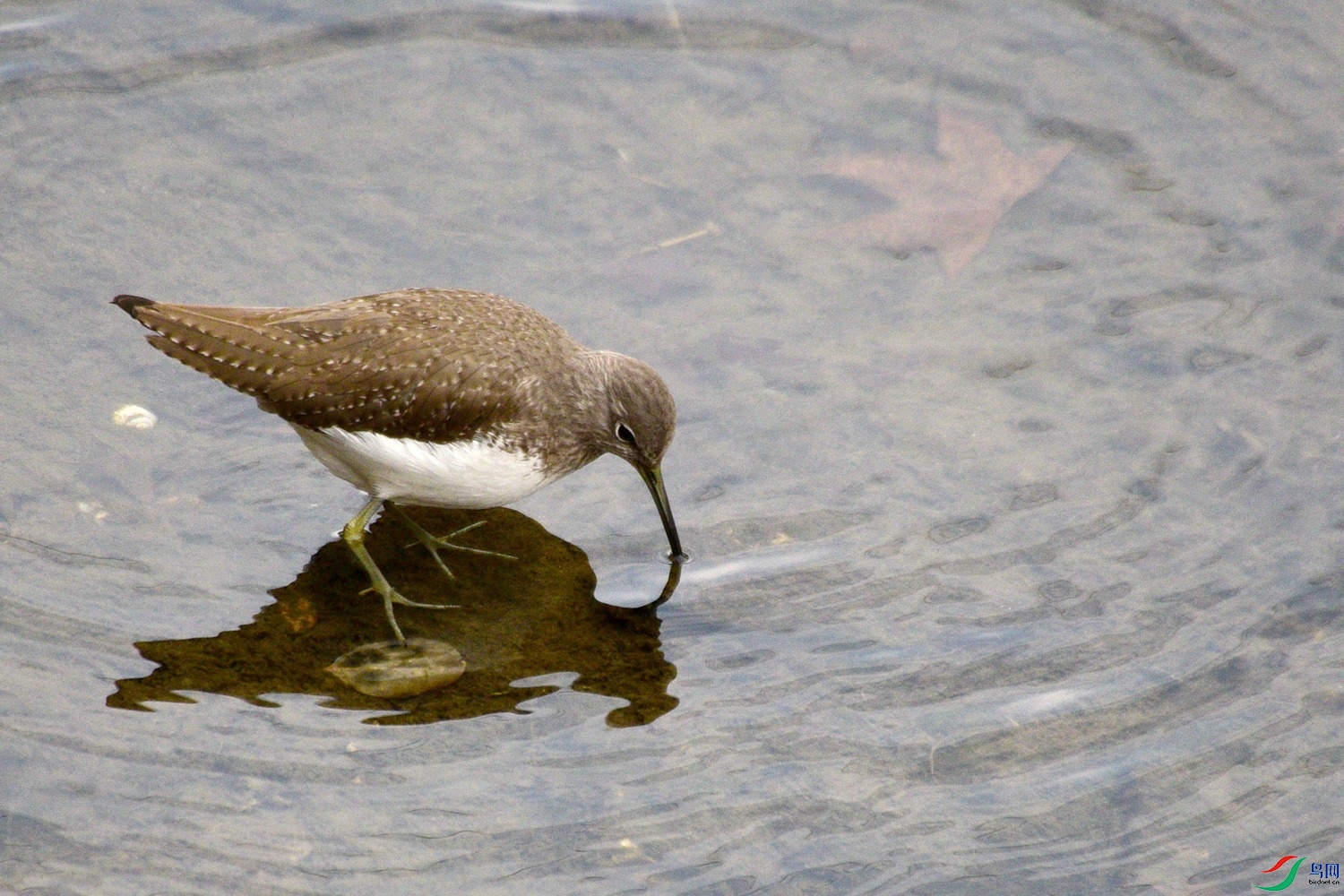 DSC_4845.JPG
