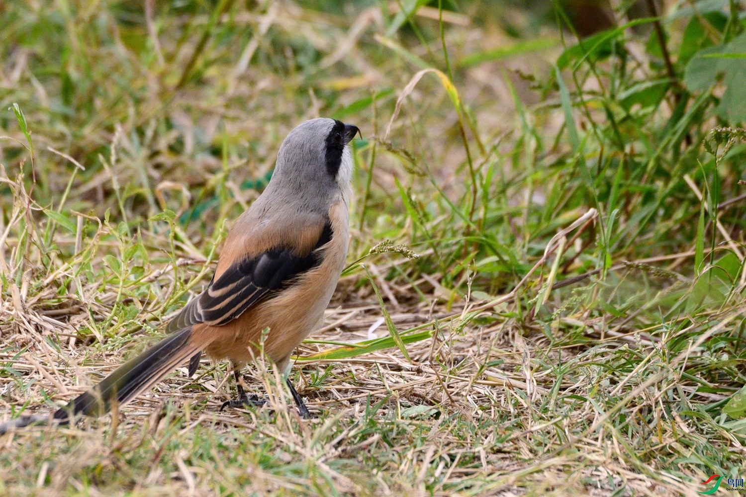 DSC_3620.JPG