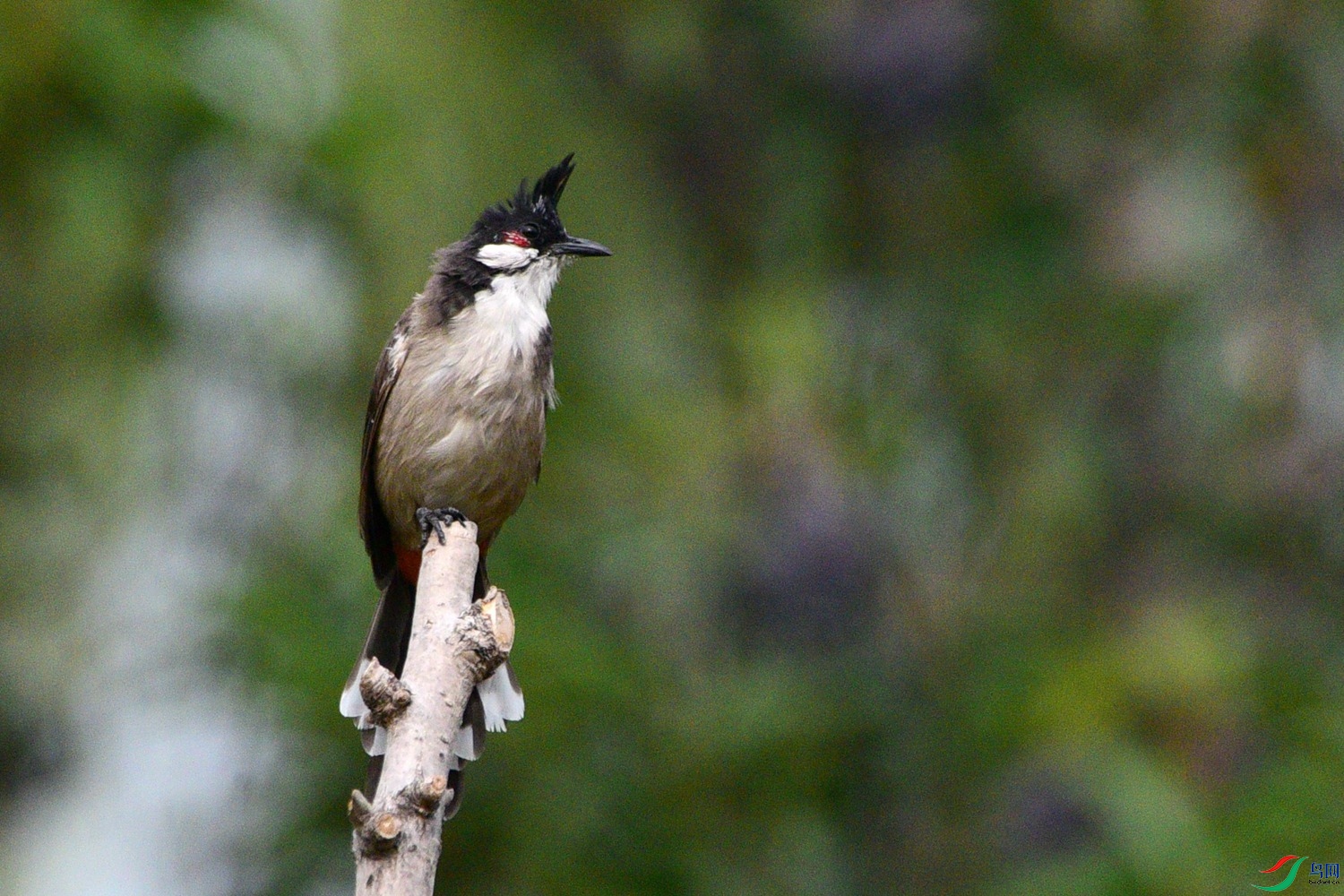 DSC_3636.JPG