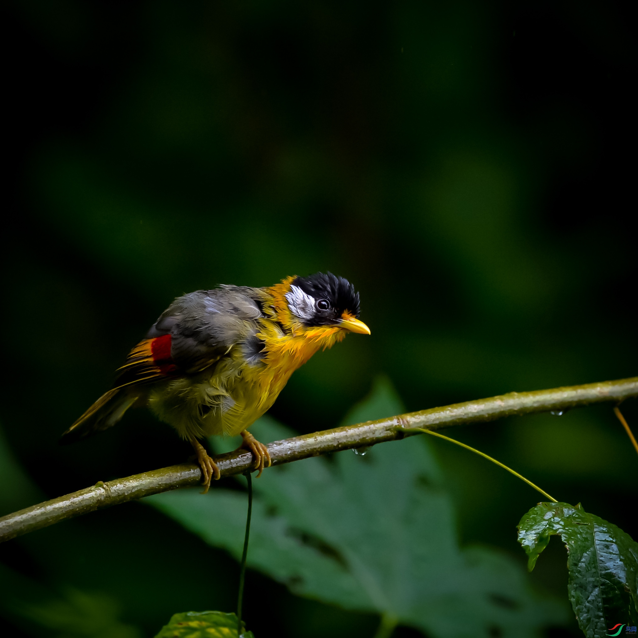 DSC_3694.jpg