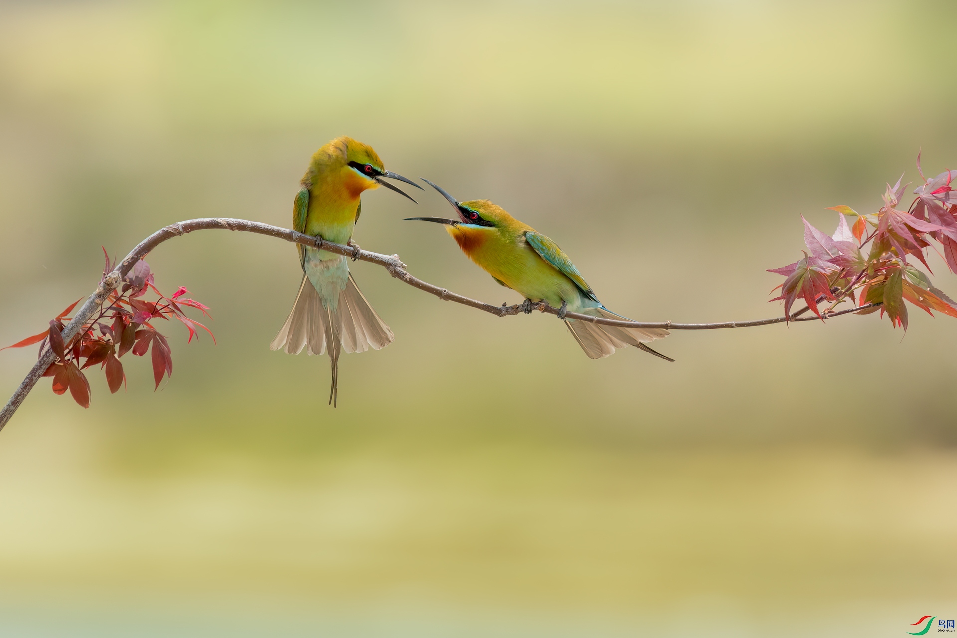 B86I1407 _����.jpg