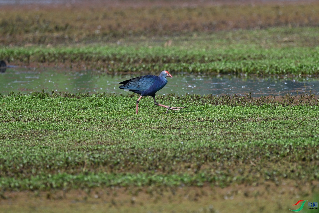 DSC_3383.JPG
