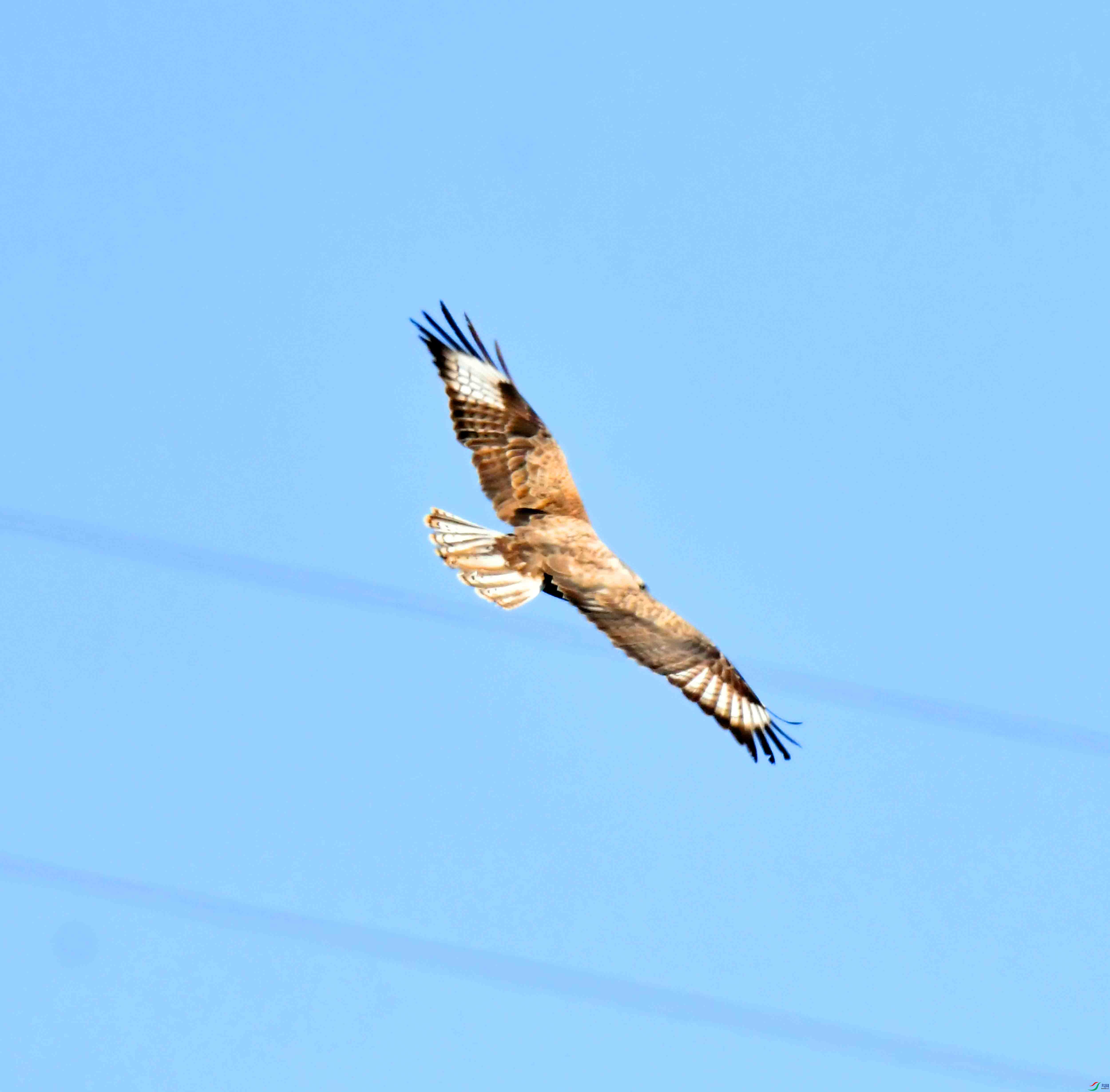 DSC_9055.JPG