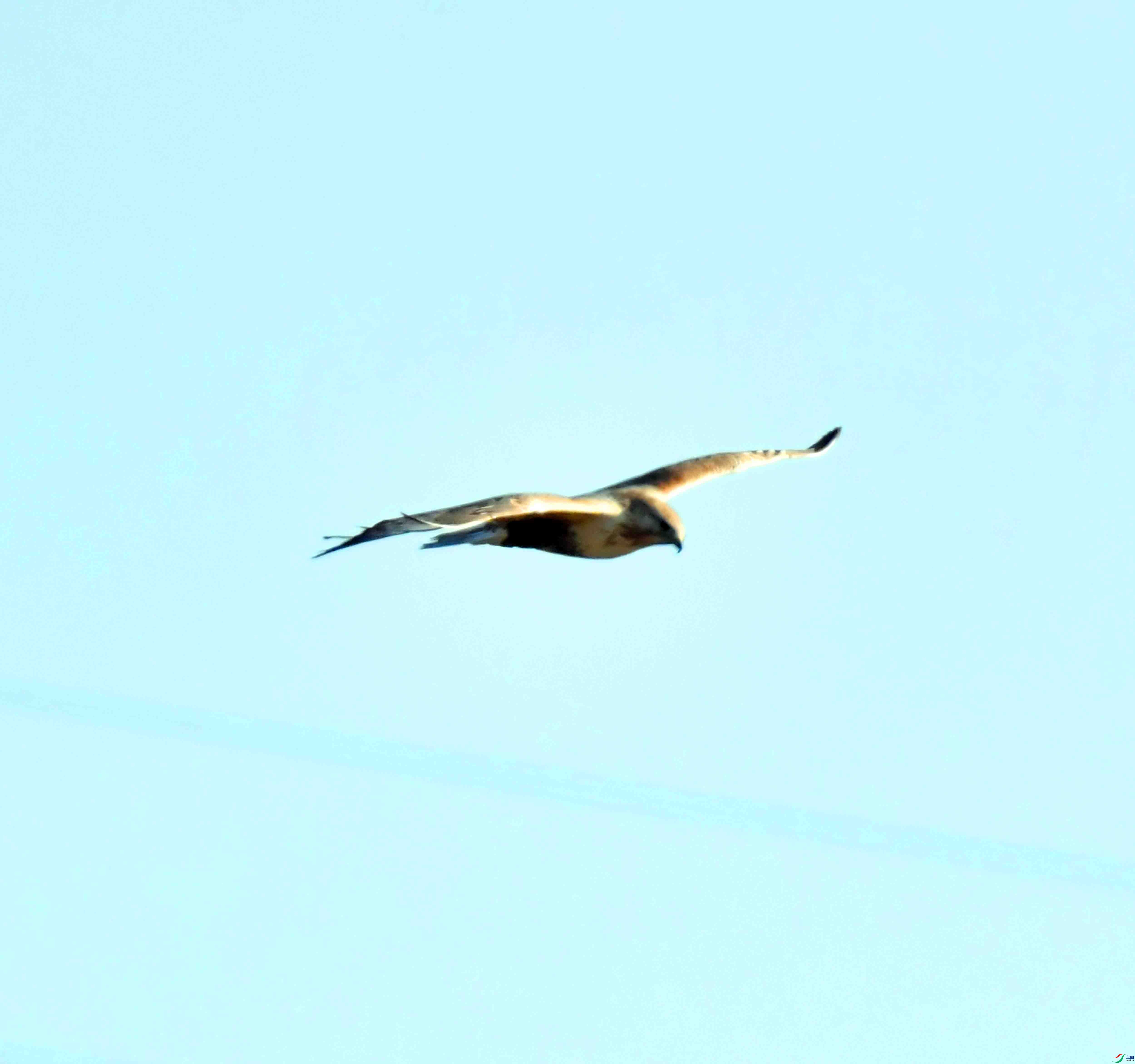 DSC_9060.JPG