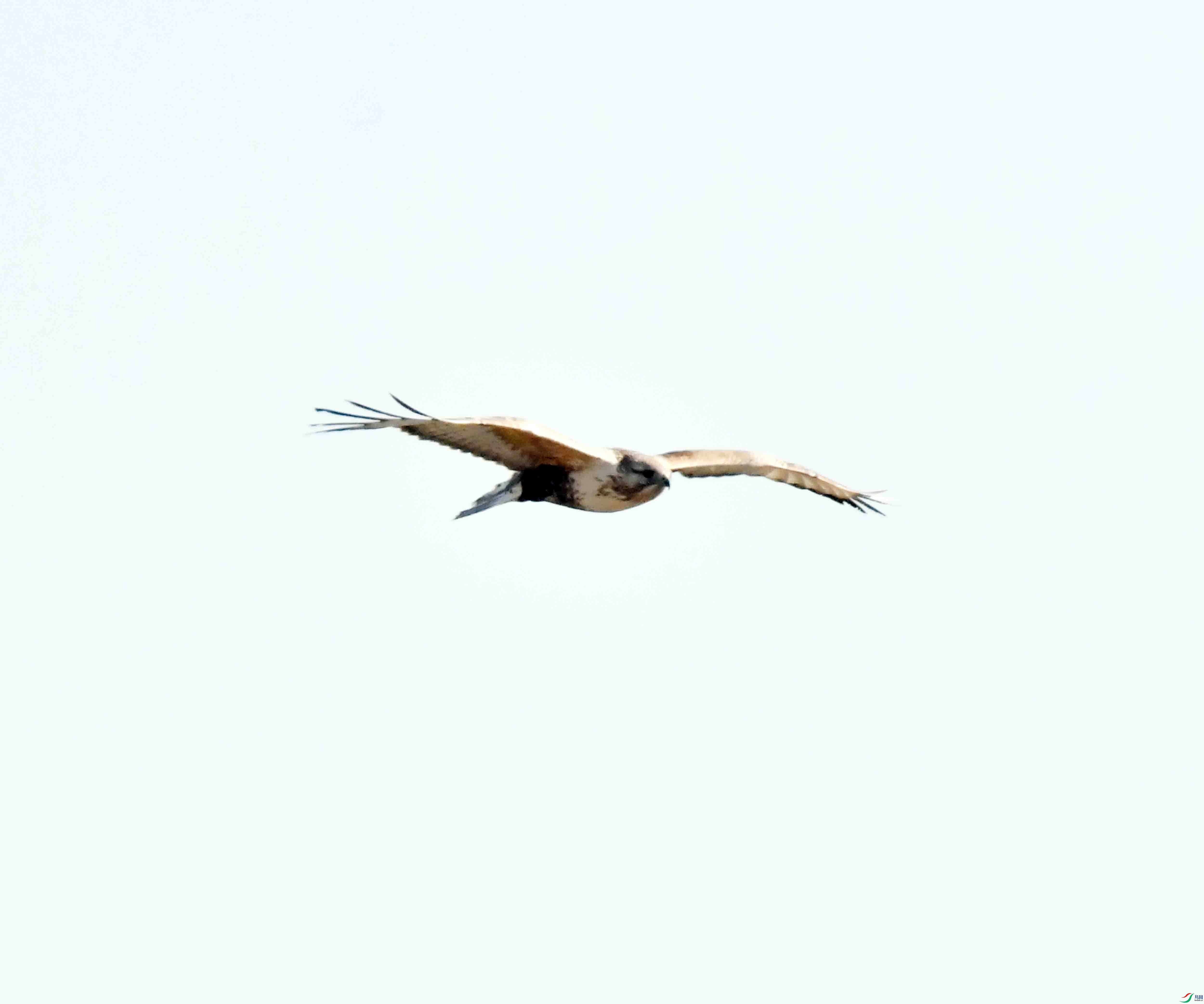 DSC_9061.JPG